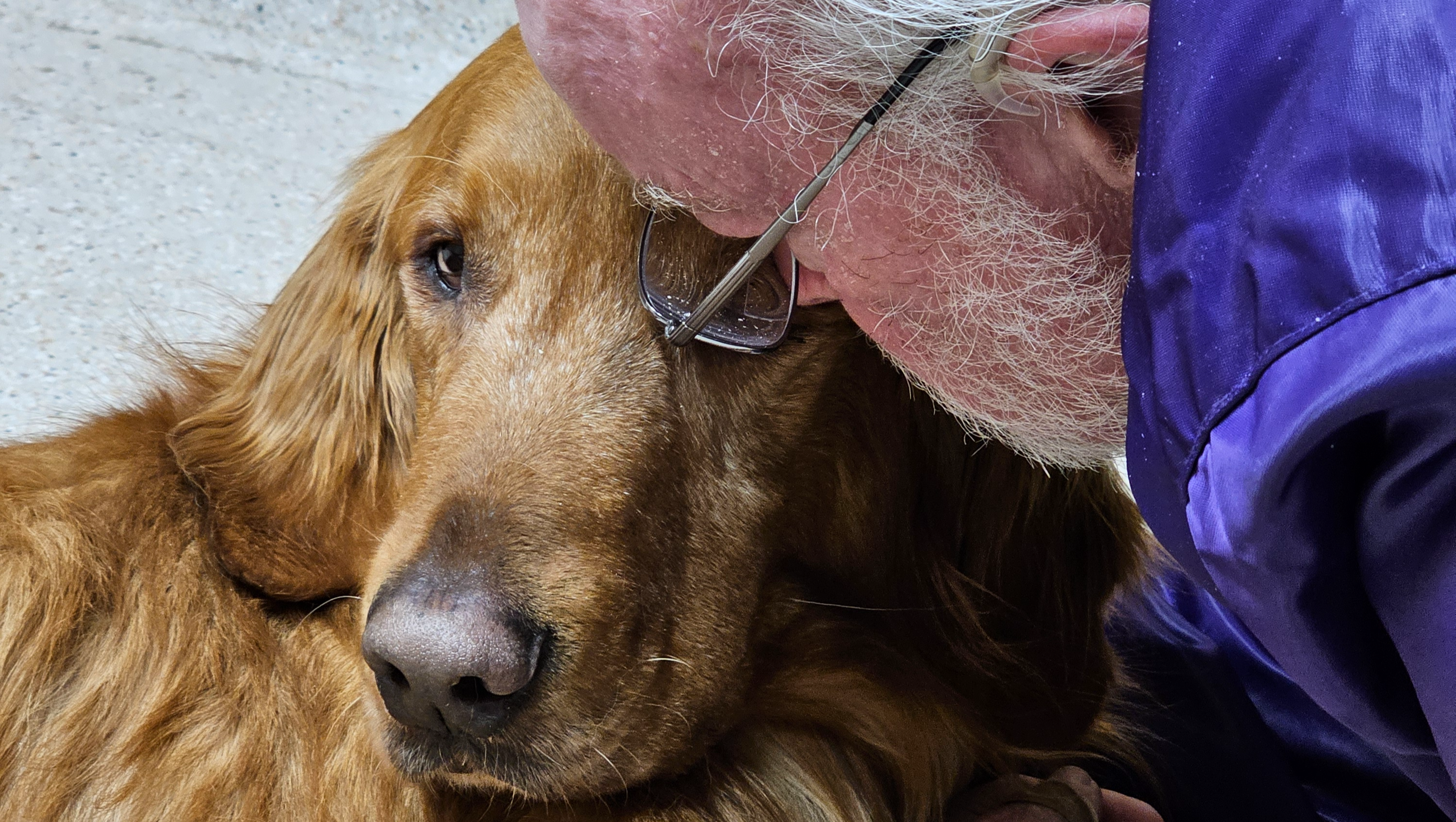 Thor's Emergency Surgery and Healing Journey