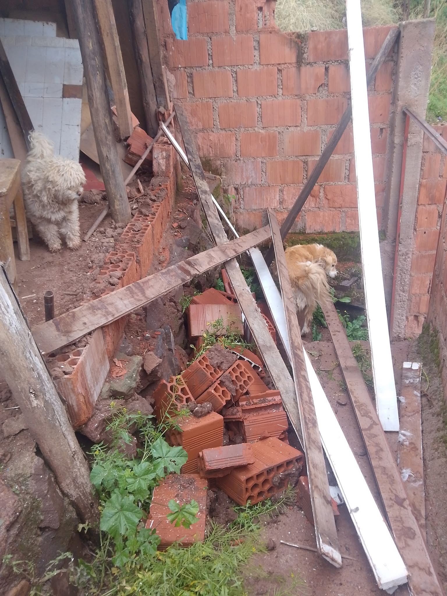 Support Inka Dog Shelter's Urgent Rebuild campaign photo, 6 of 7
