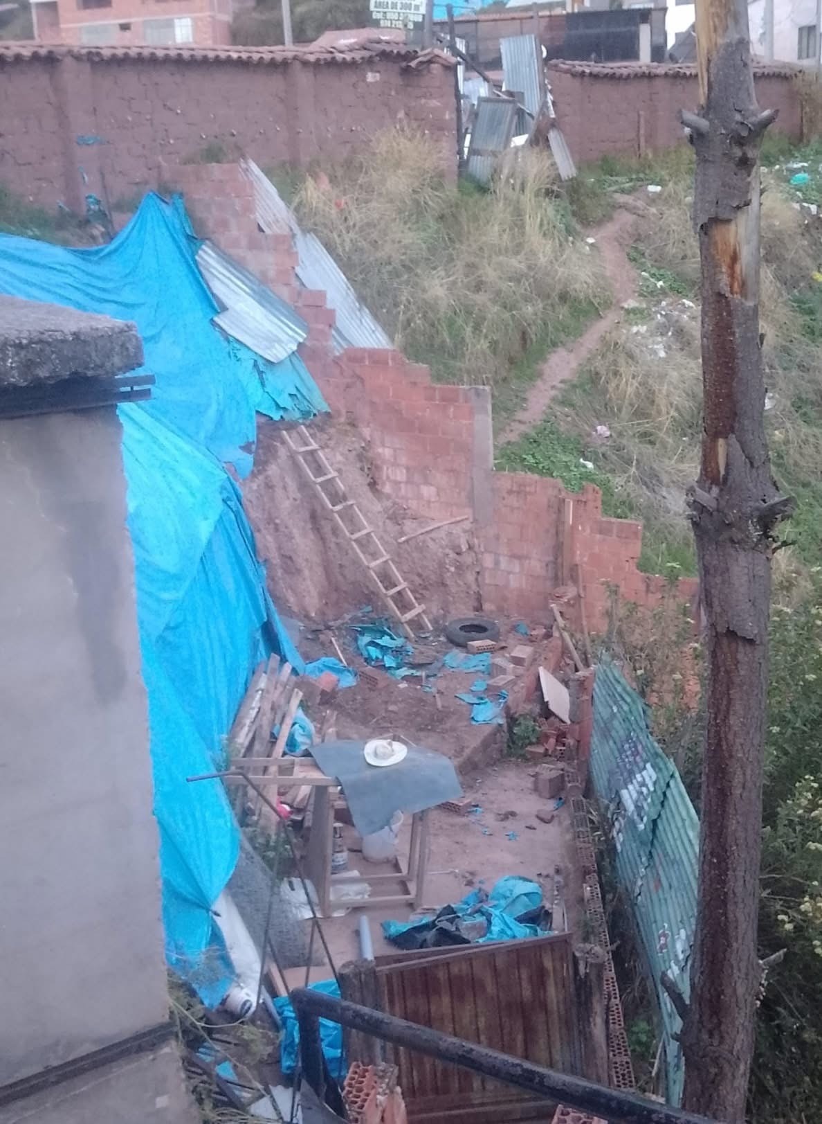Support Inka Dog Shelter's Urgent Rebuild campaign photo, 2 of 7