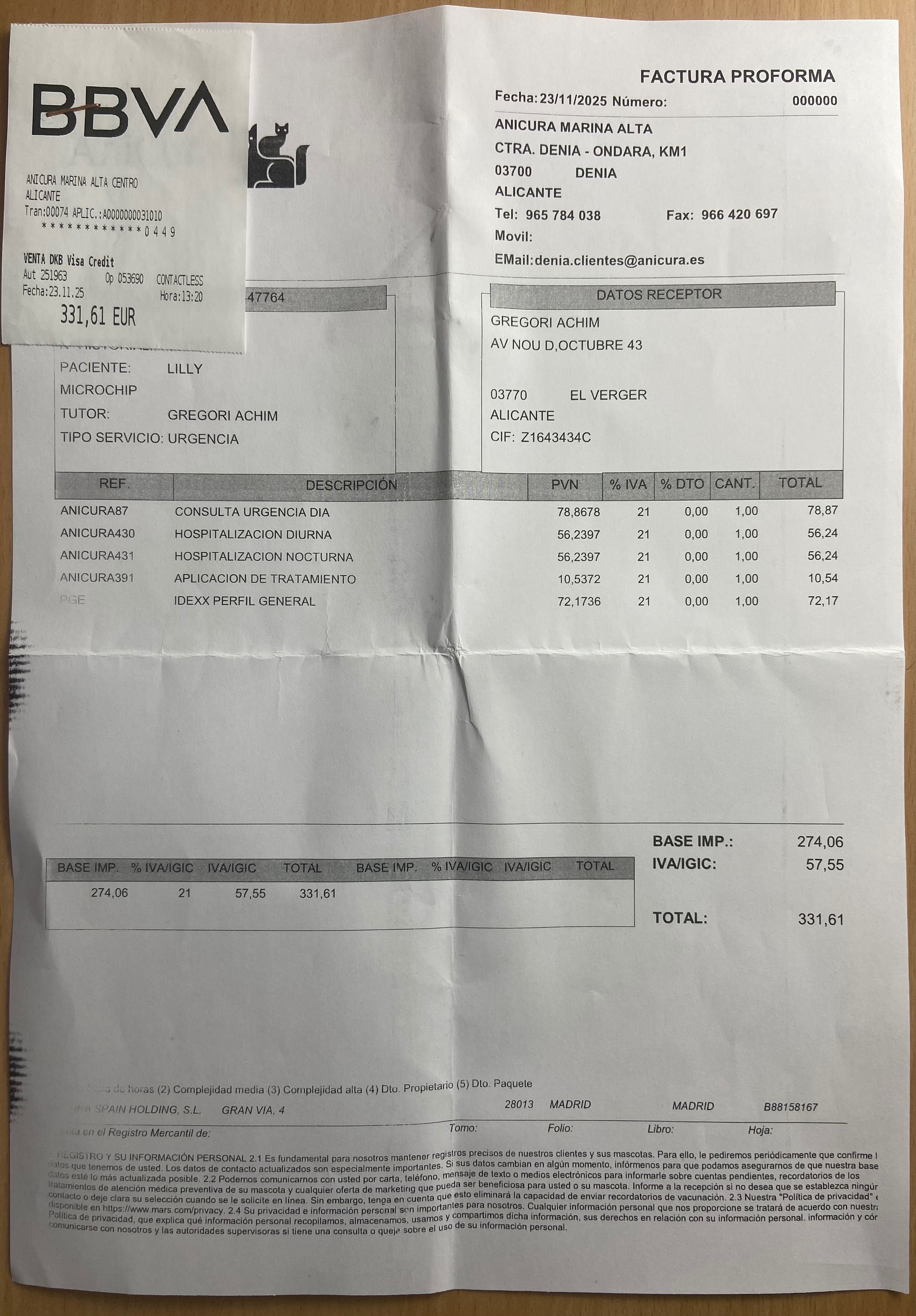 Please help 6-week old Lilli survive Panleukopenia campaign photo, 6 of 8