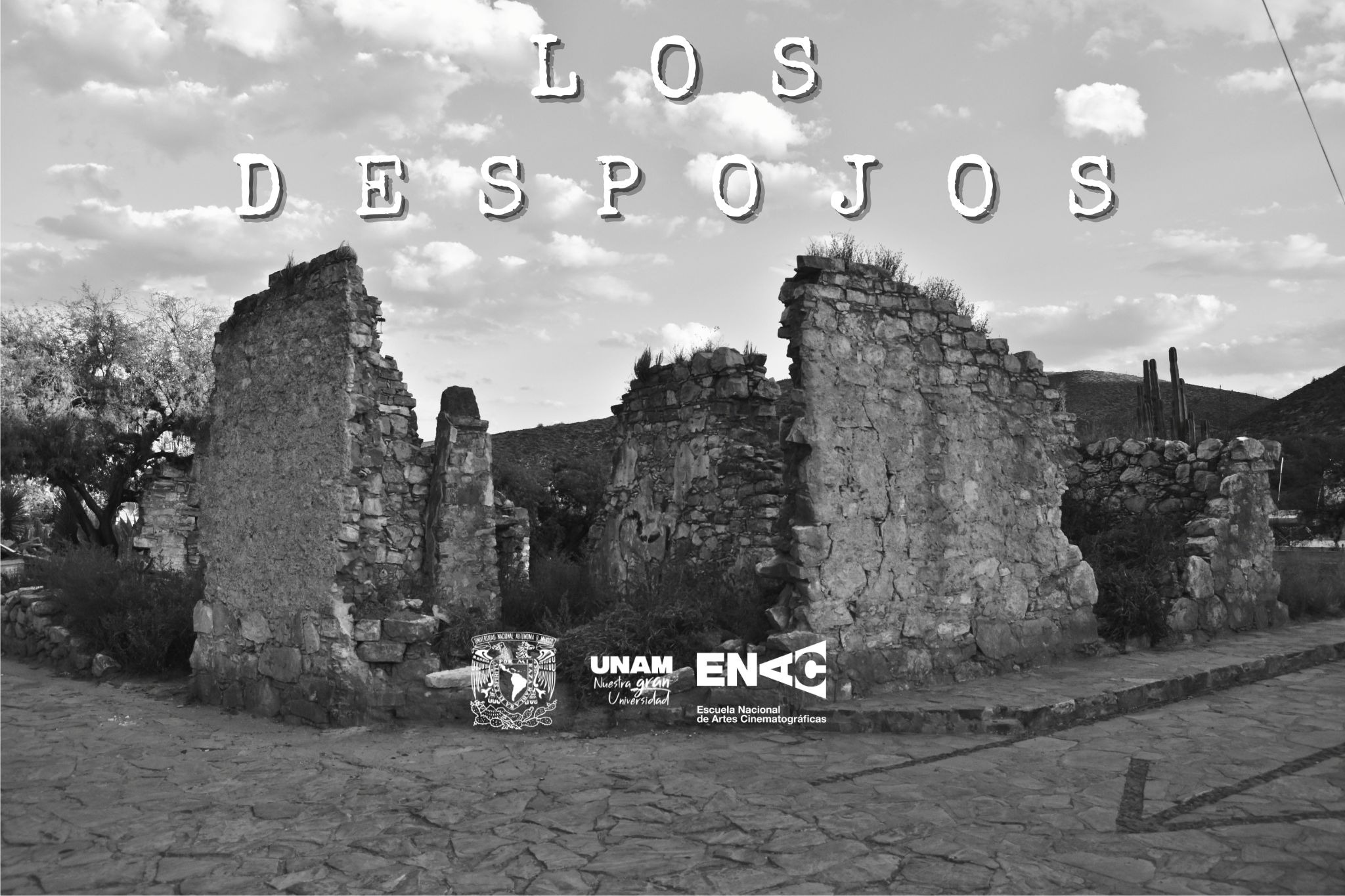 Los Despojos. Tesis fílmica-Cortometraje campaign photo, 4 of 5