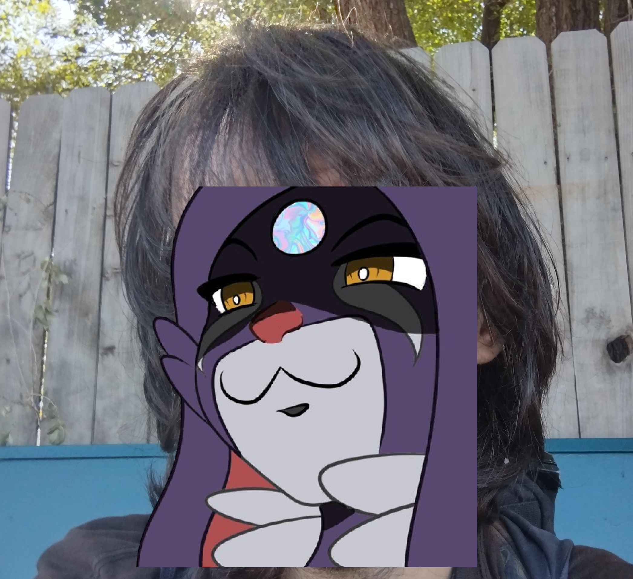 User-uploaded image 1