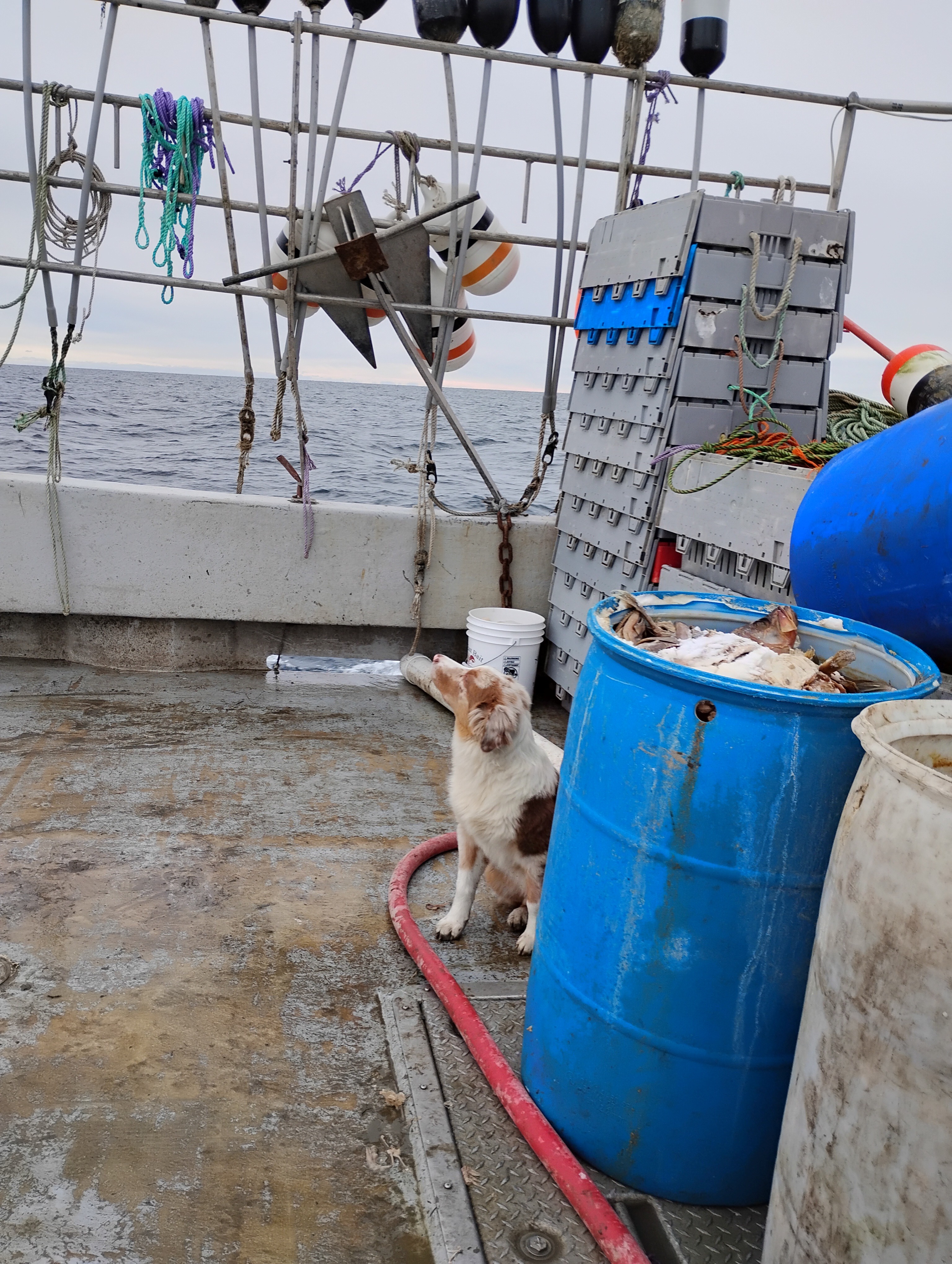 Empower Girls: Support Lindsi's Lobstering Program campaign photo, 4 of 7