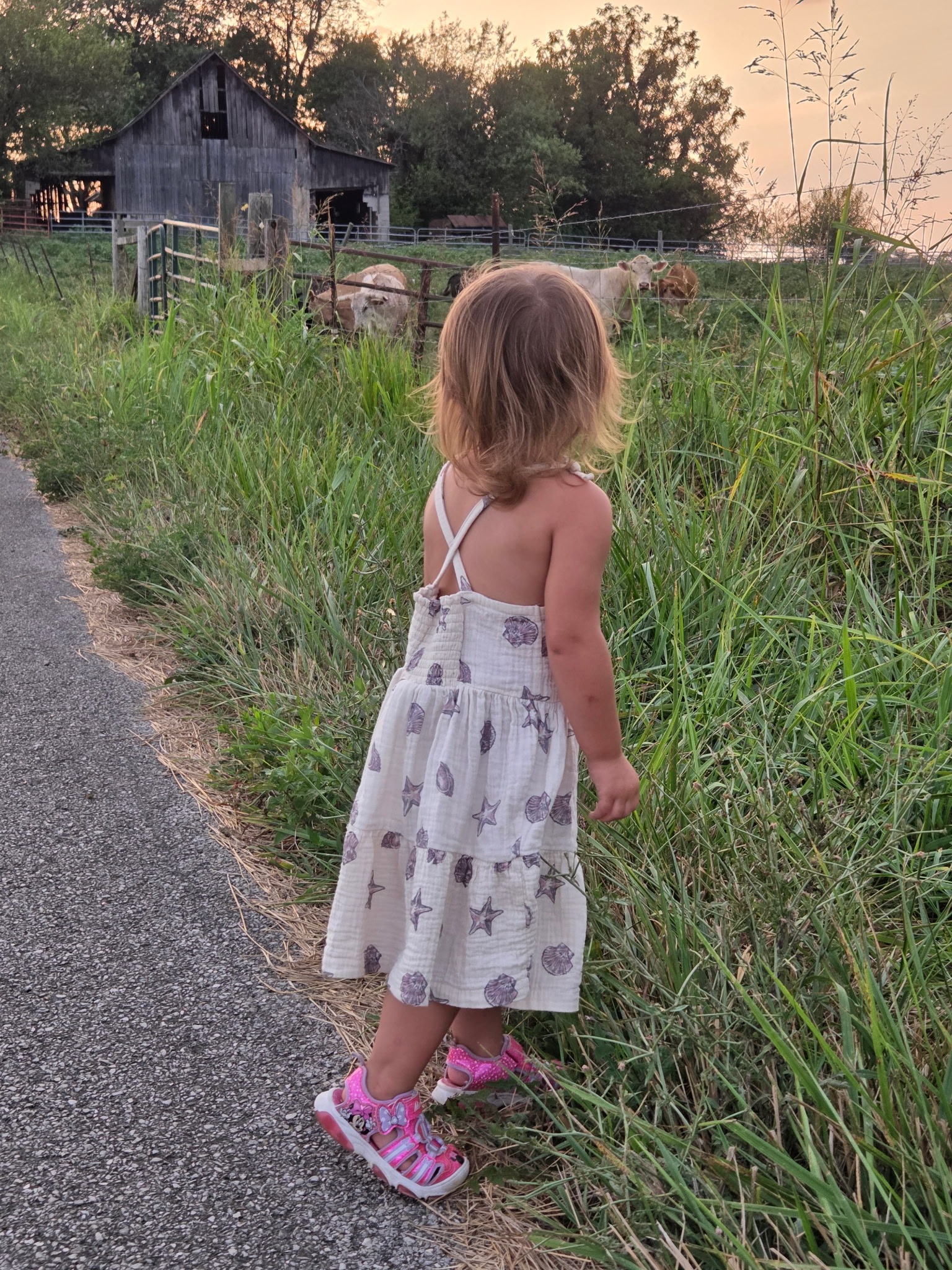 Help a Single Mom Recover from Car Accident campaign photo, 2 of 4