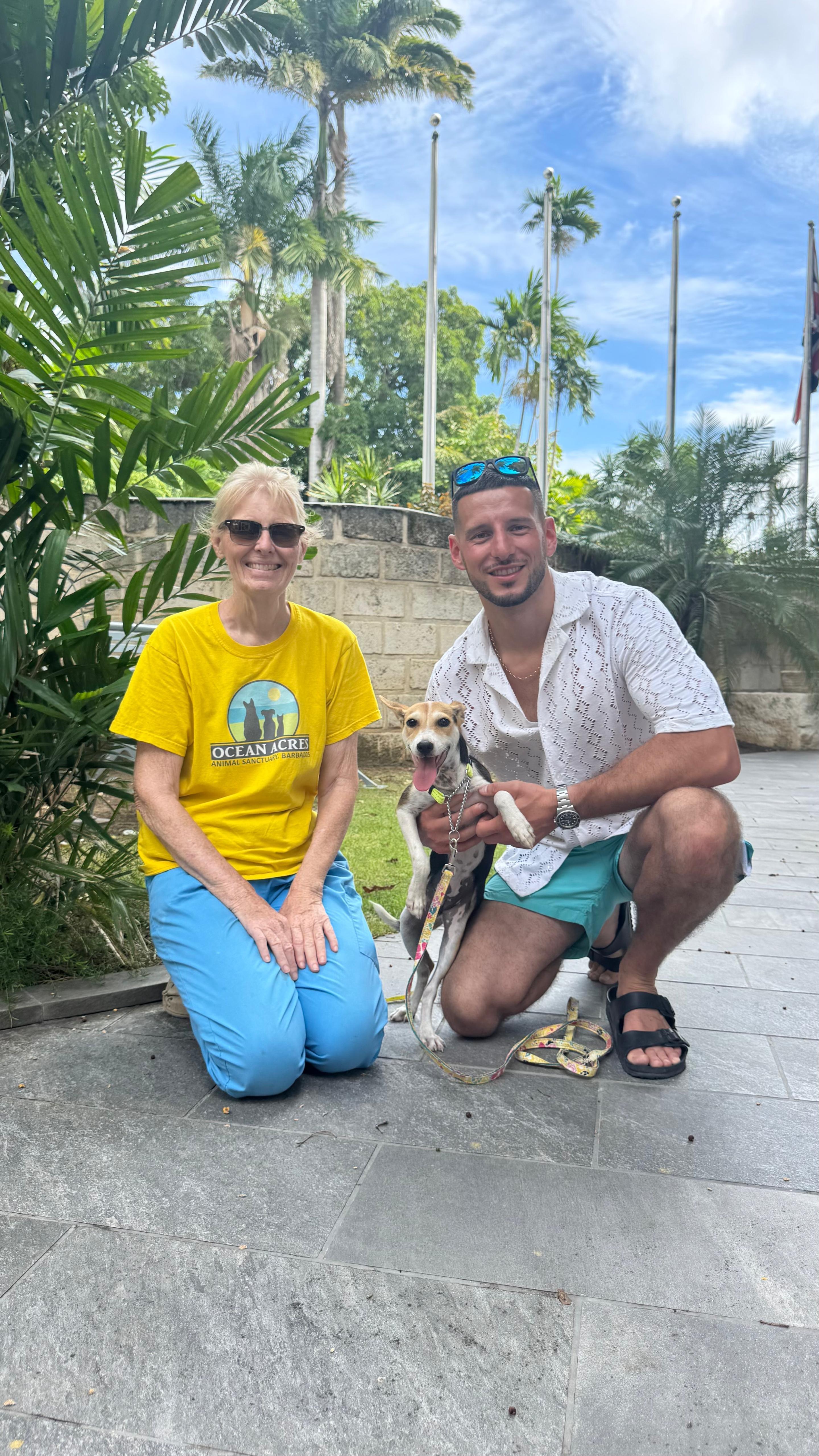 Help bring Carib to the UK for a new life! campaign photo, 2 of 5