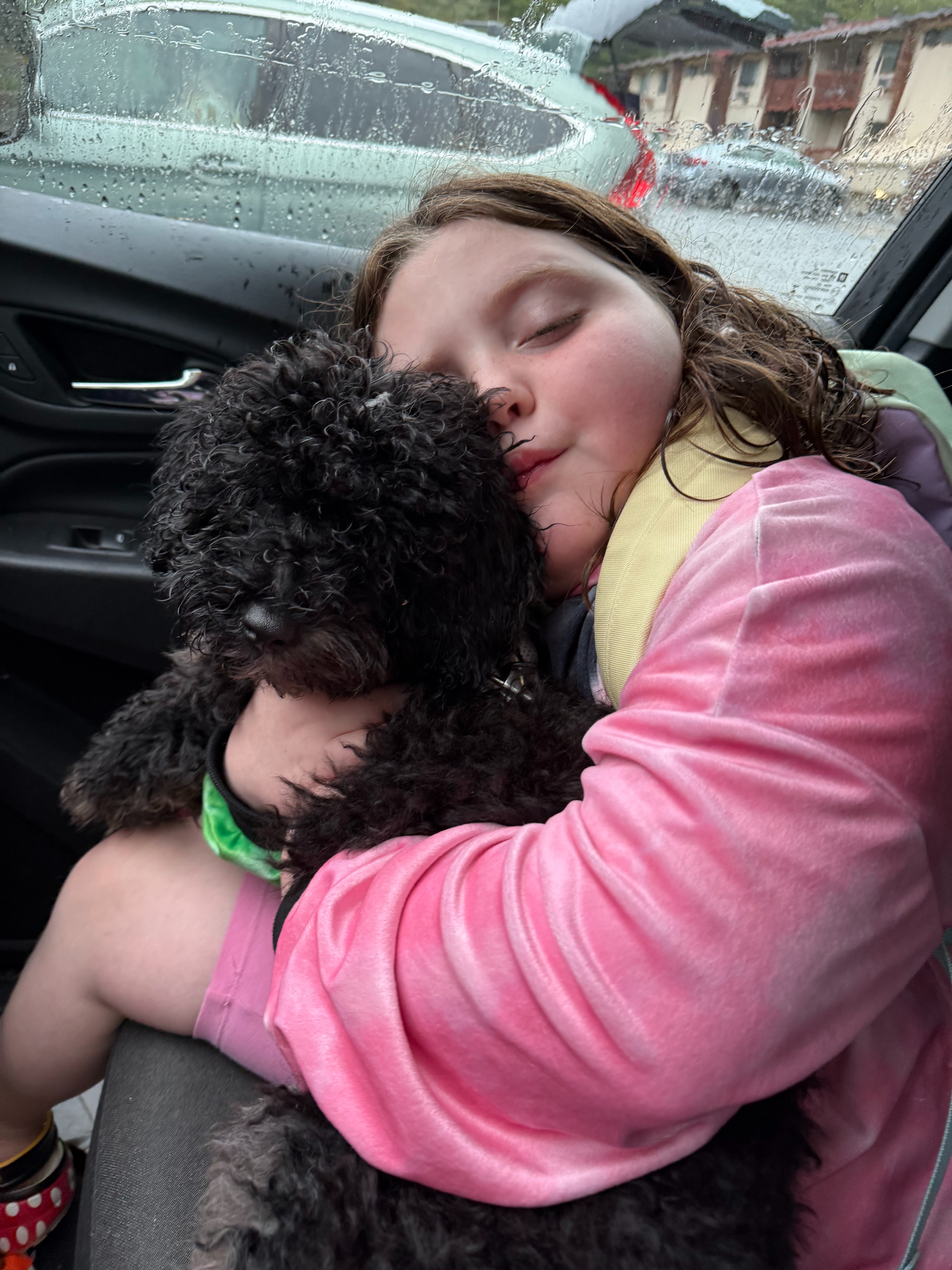 Save Maisie's Puppy Jinx: Life-Saving Surgery campaign photo, 4 of 7