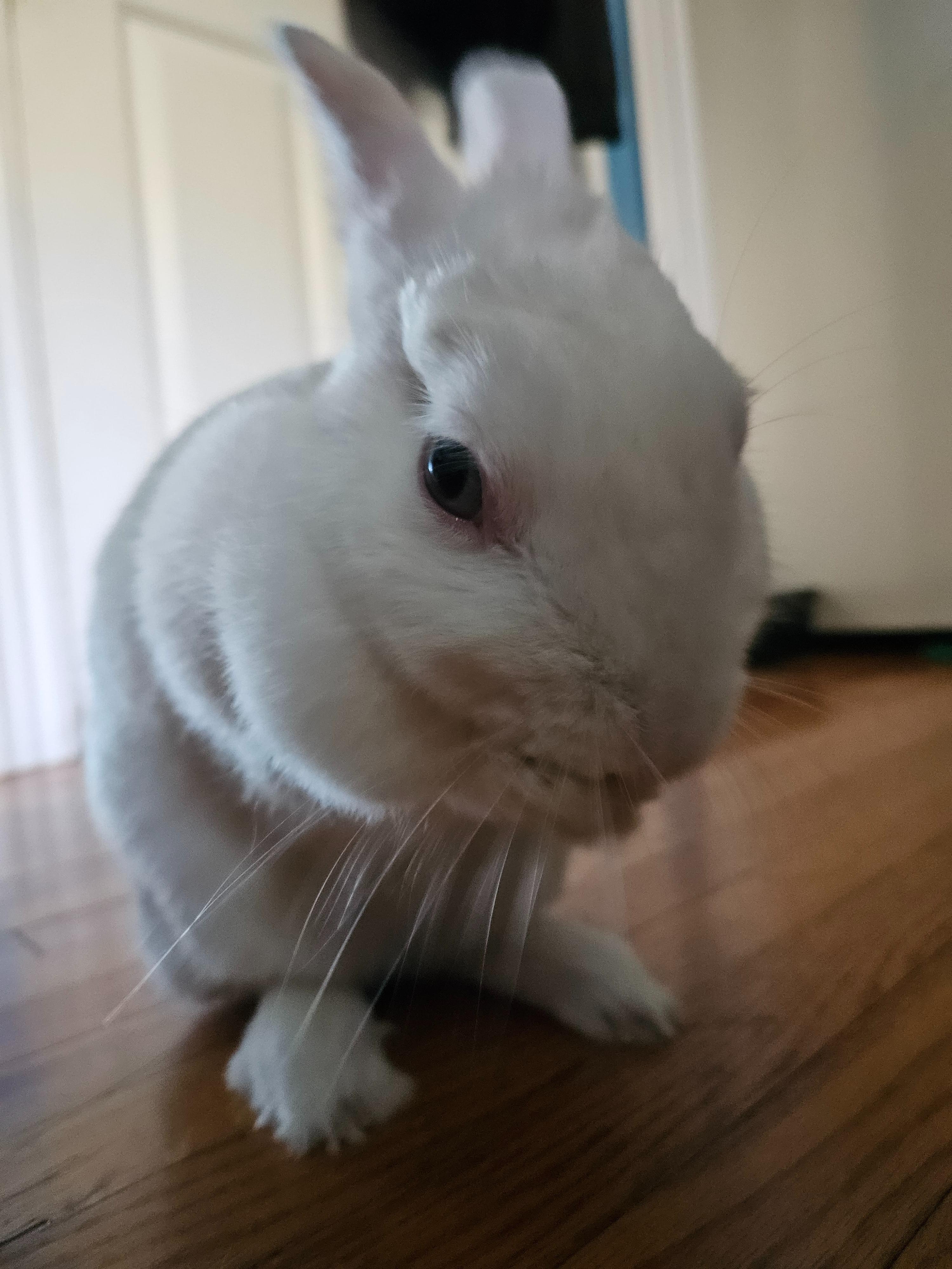 Mass removal for Blue ♡ 4 years old campaign photo, 4 of 5
