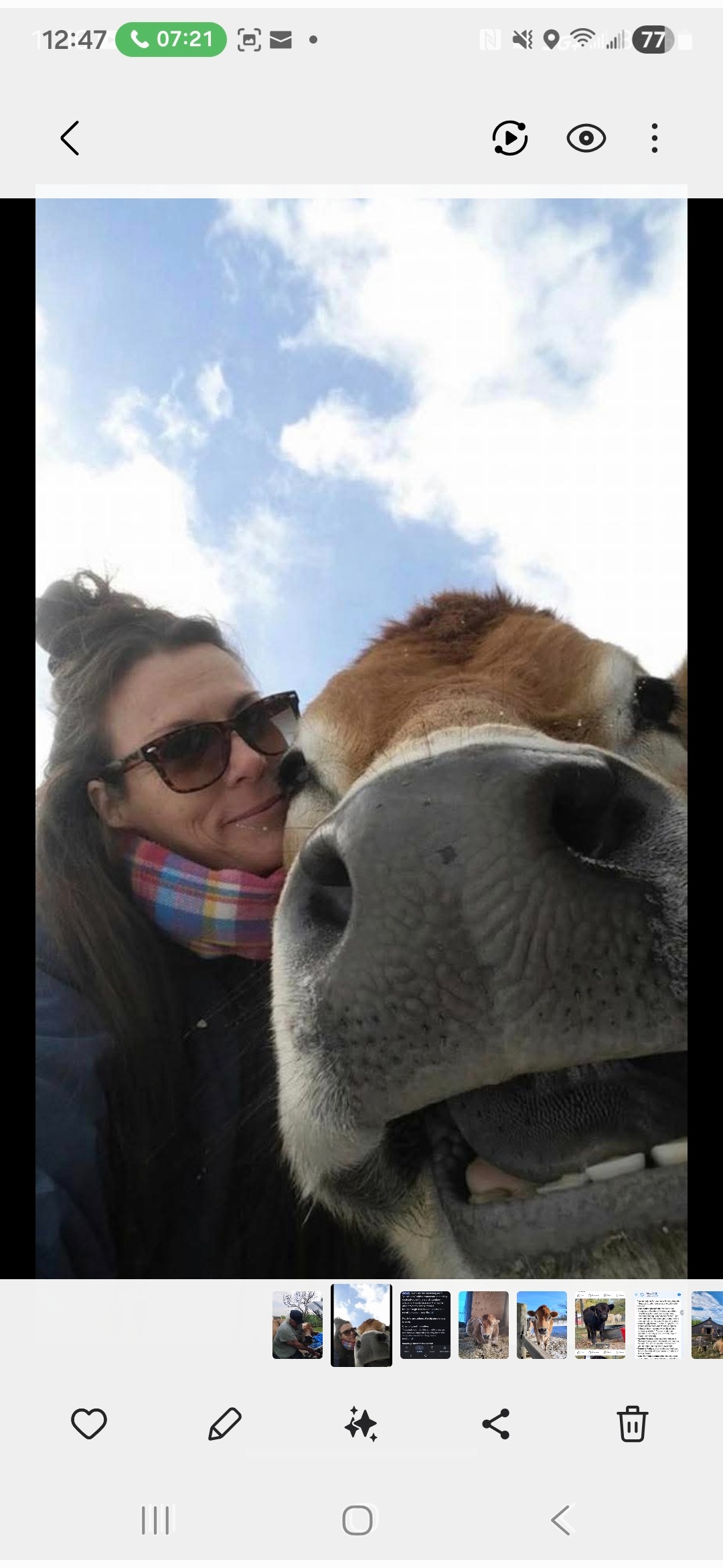 Support Sharon's Rescue Farm After Tragedies campaign photo, 4 of 8