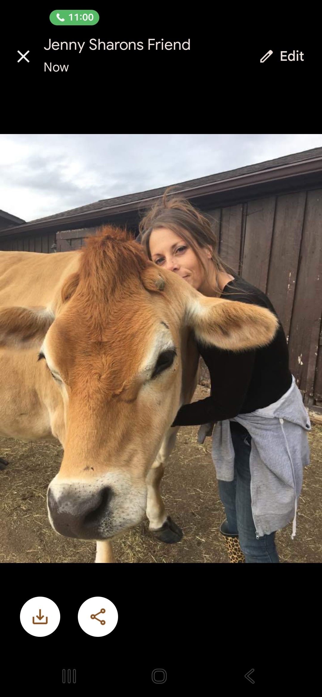Support Sharon's Rescue Farm After Tragedies campaign photo, 5 of 8
