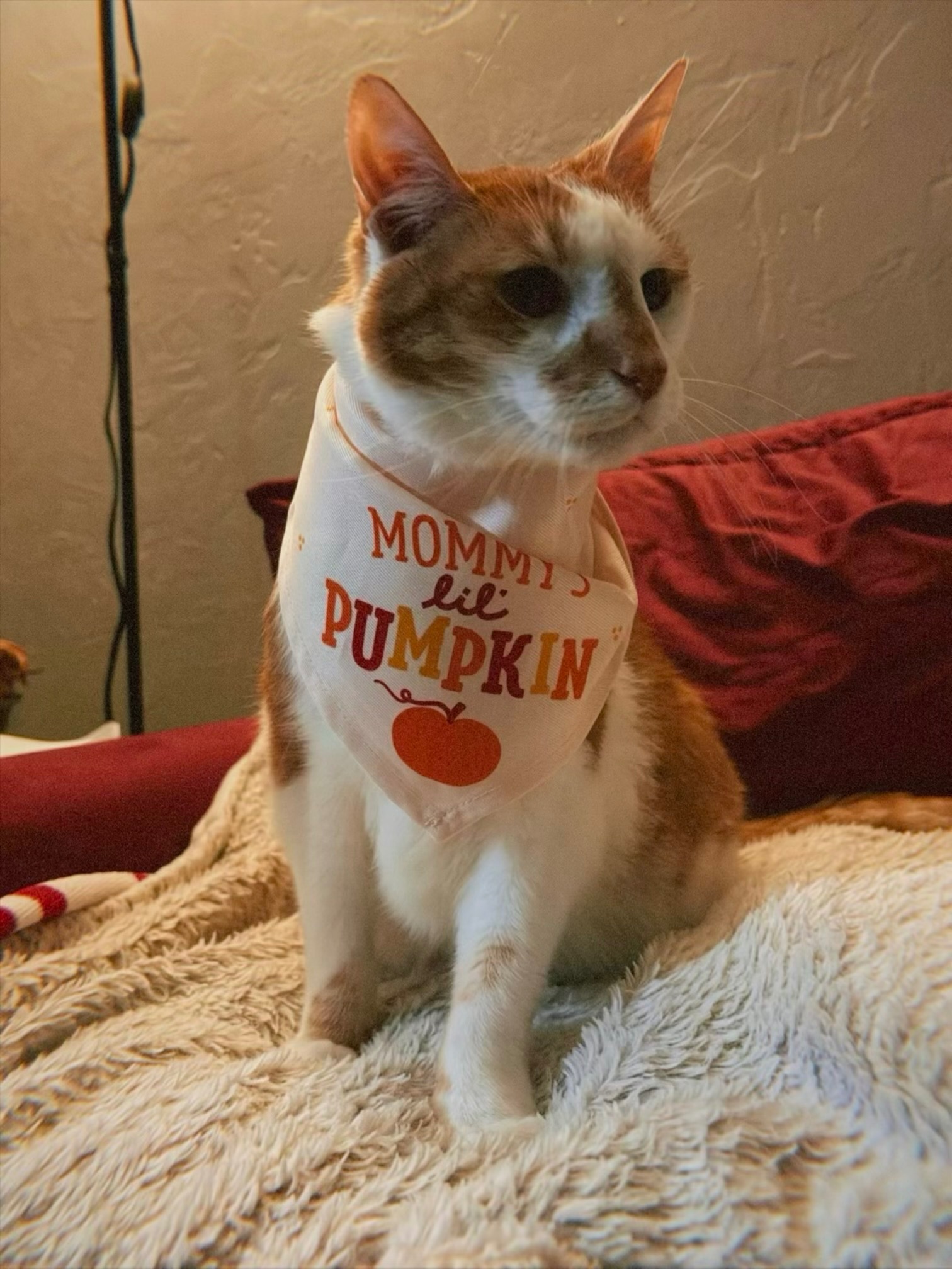 (Please see update) Little Boy: Surgery for Liver Tumor campaign photo, 2 of 7