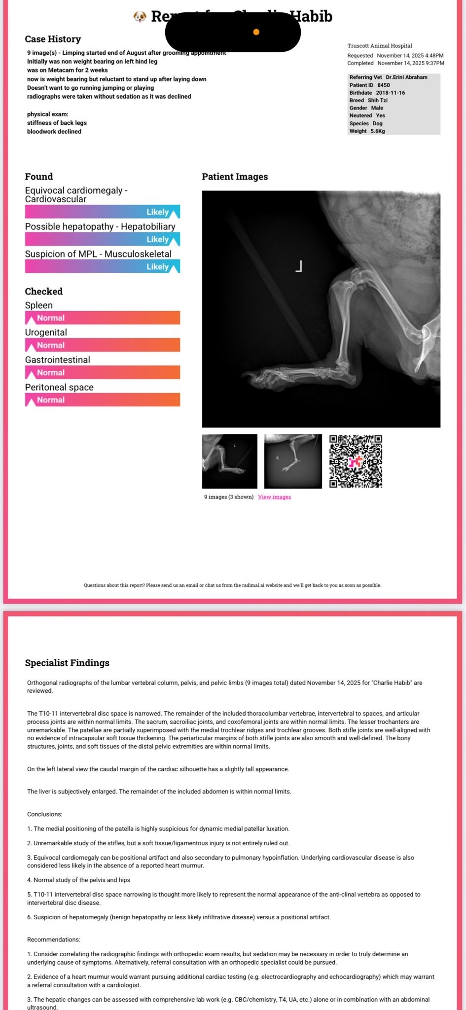Help Charlie Walk Again — A Chance at Life Without Pain campaign photo, 2 of 8