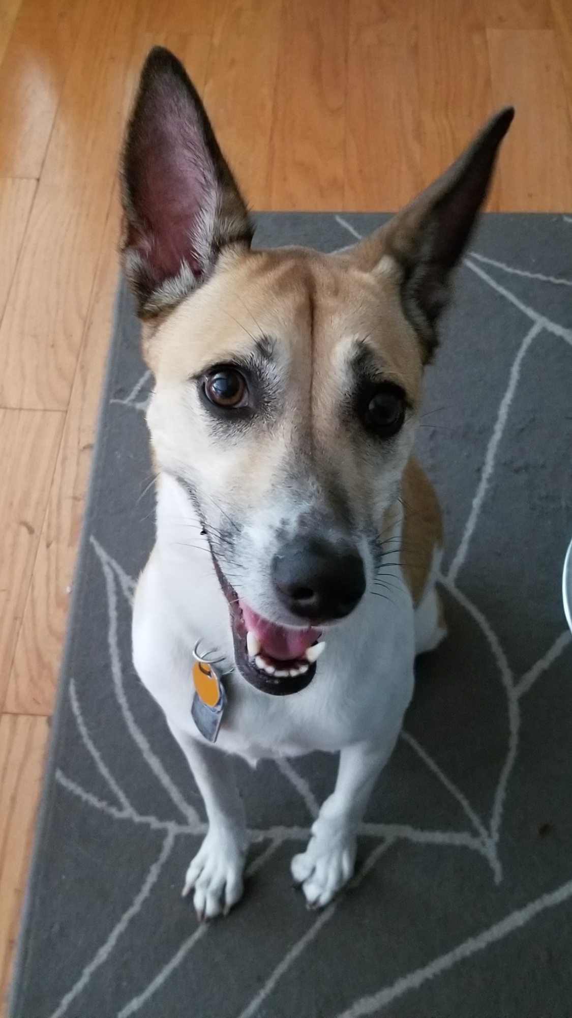 Help Stacey Honor Charlii & Continue Her Journey campaign photo, 5 of 8