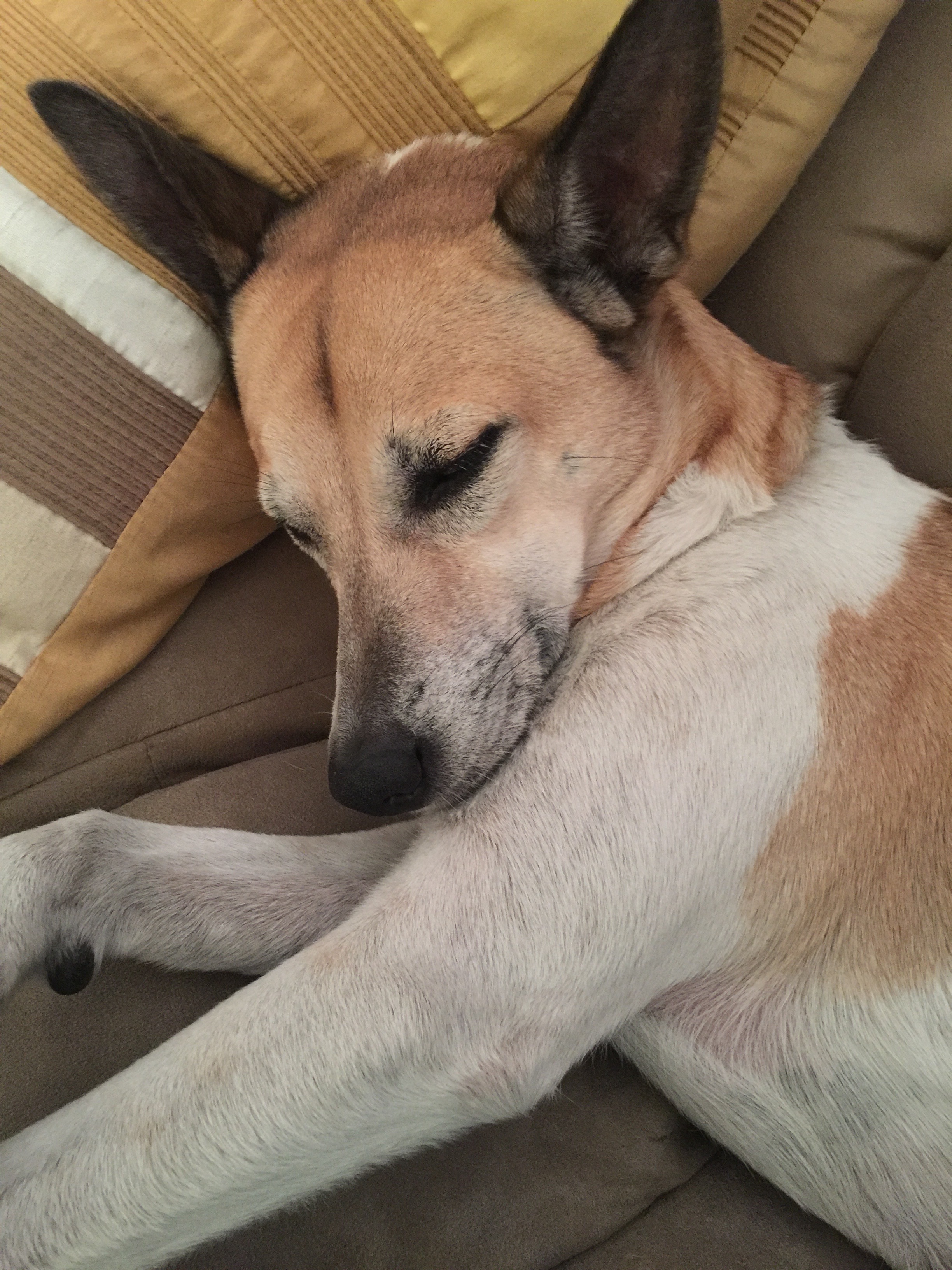 Help Stacey Honor Charlii & Continue Her Journey campaign photo, 4 of 8