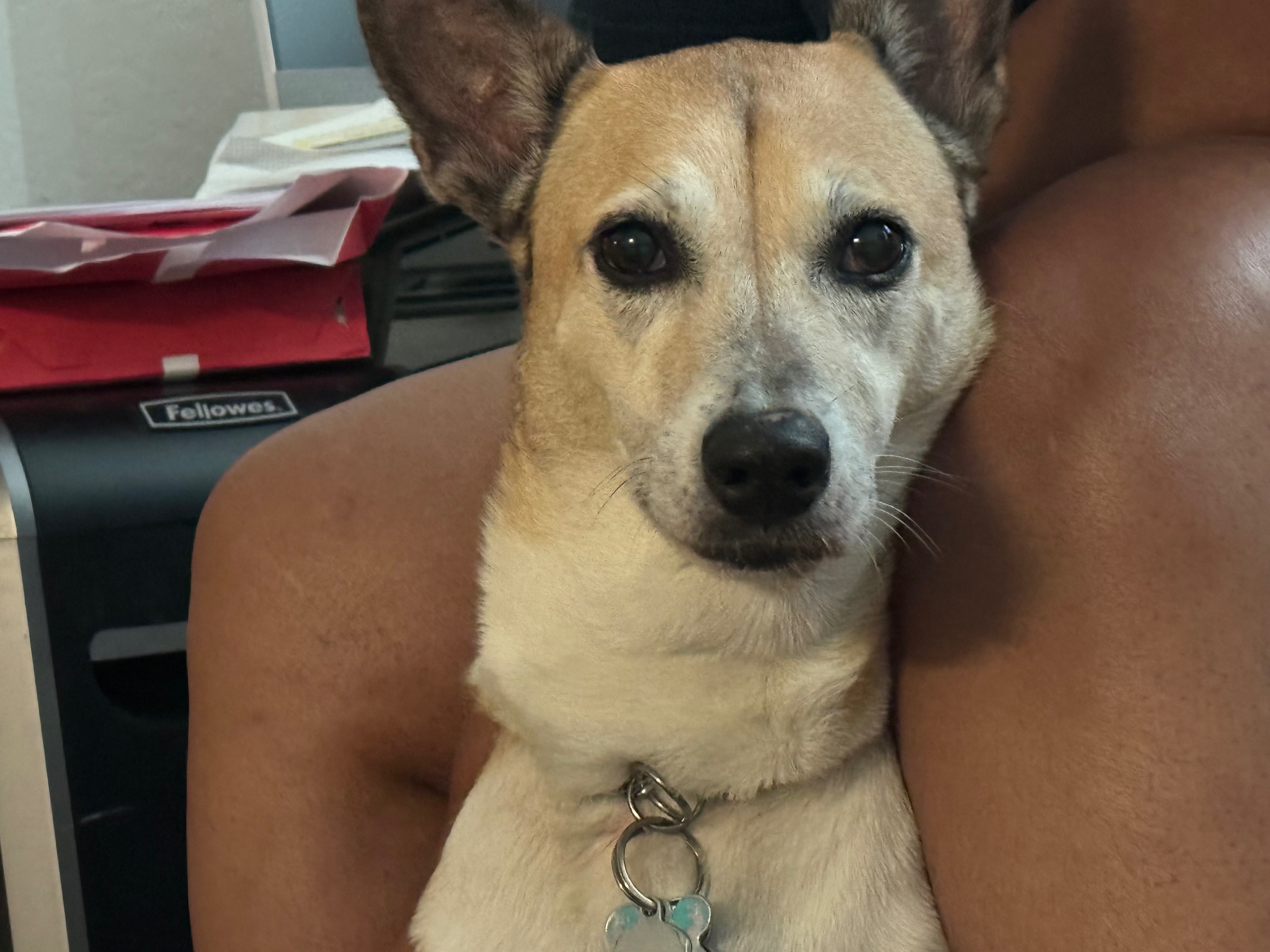 Help Stacey Honor Charlii & Continue Her Journey campaign photo, 6 of 8