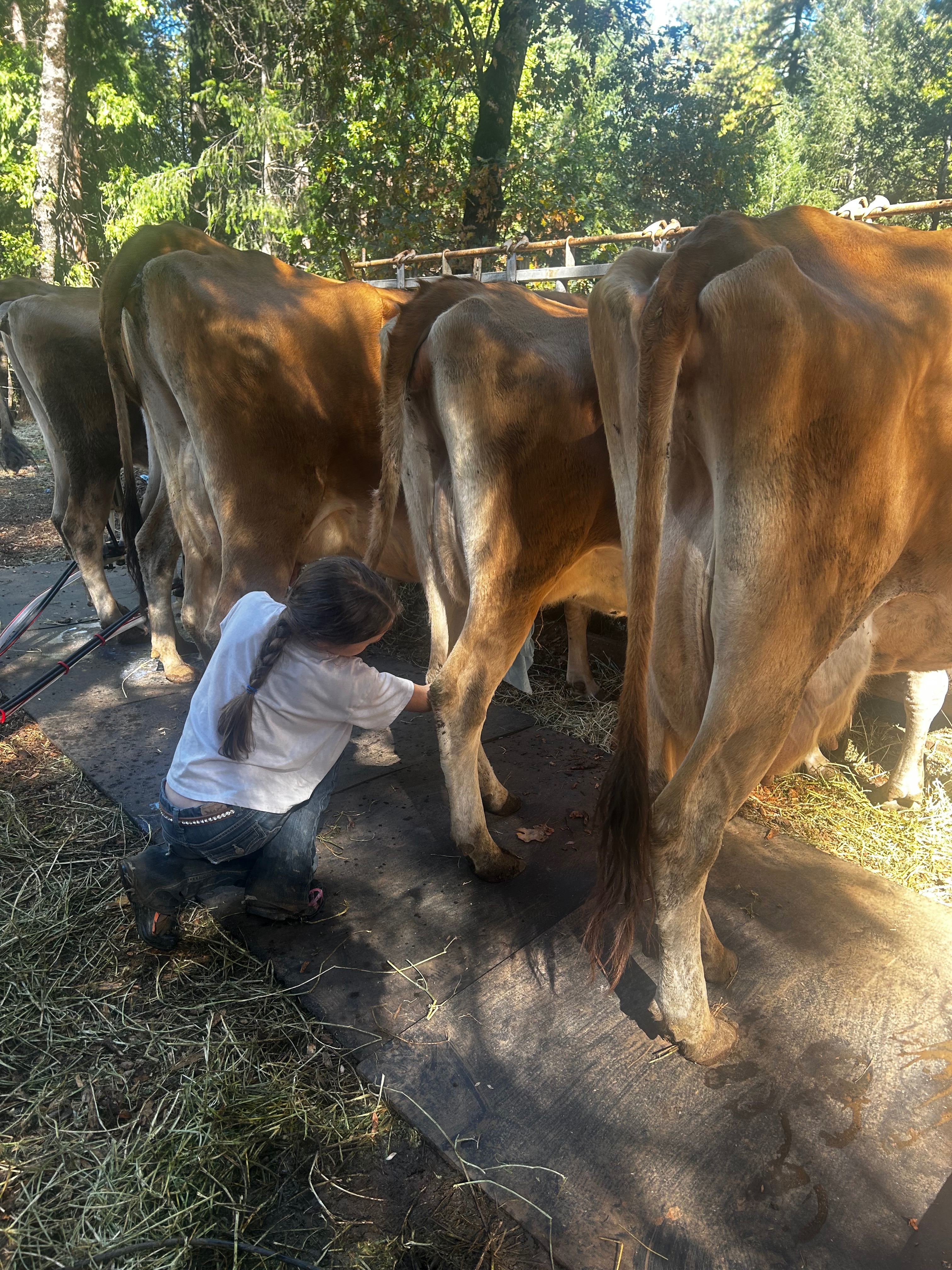 Donate to Keep a Family Farm Alive campaign photo, 6 of 8