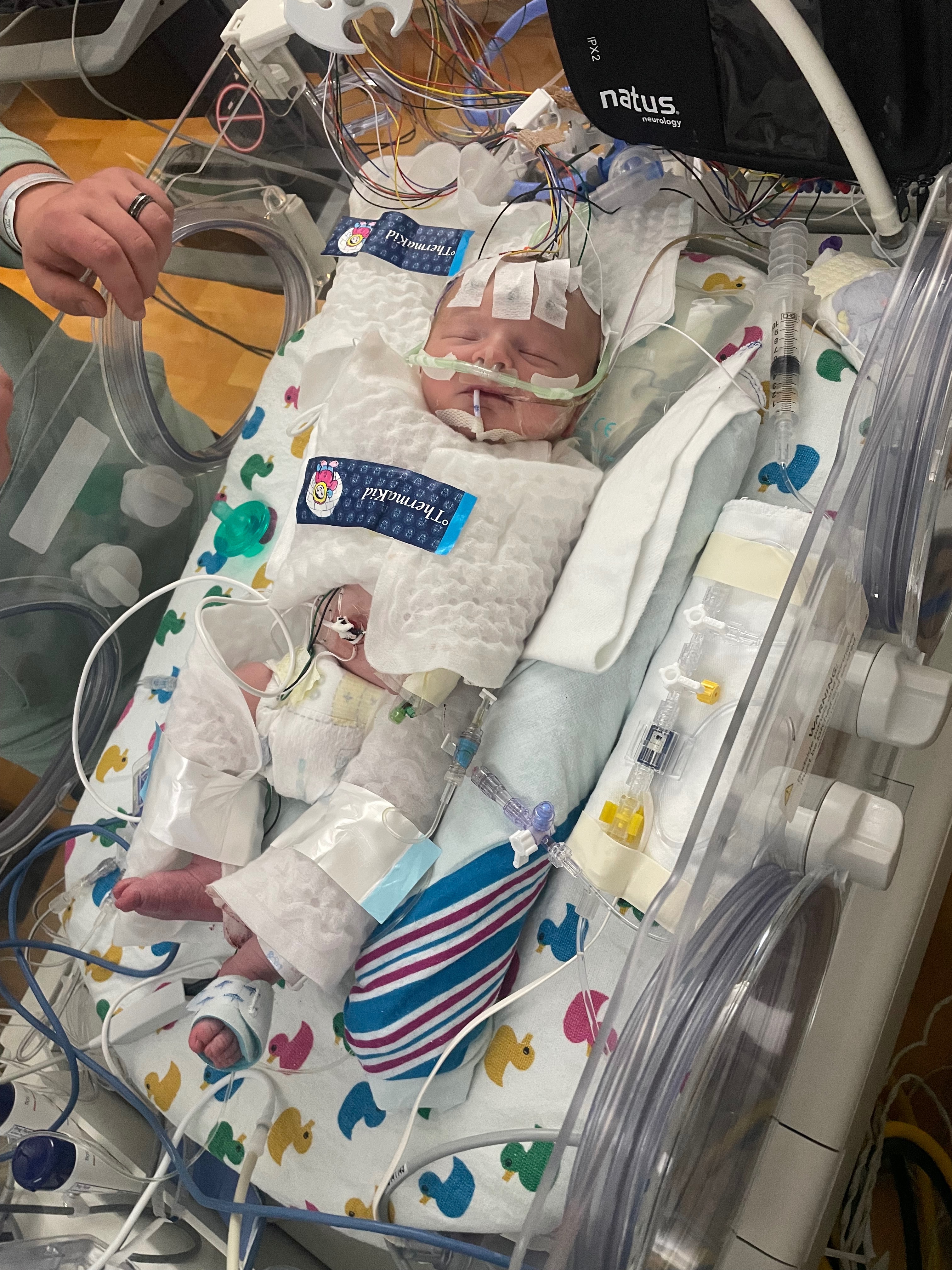 Fundraiser by Nathan Wycuff : Support Penelope's Final Goodbye