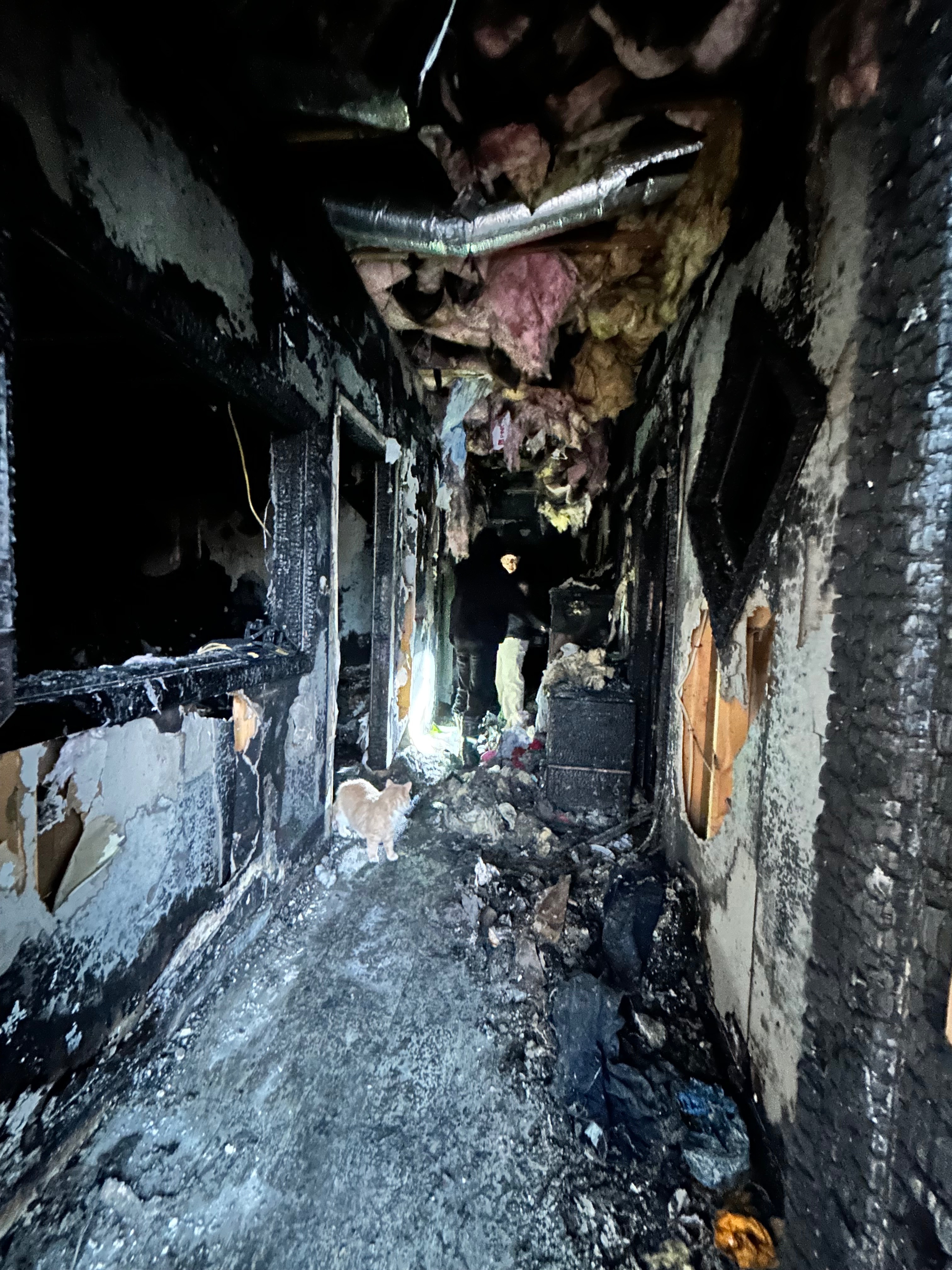 Support Isabella's Family After House Fire campaign photo, 5 of 6