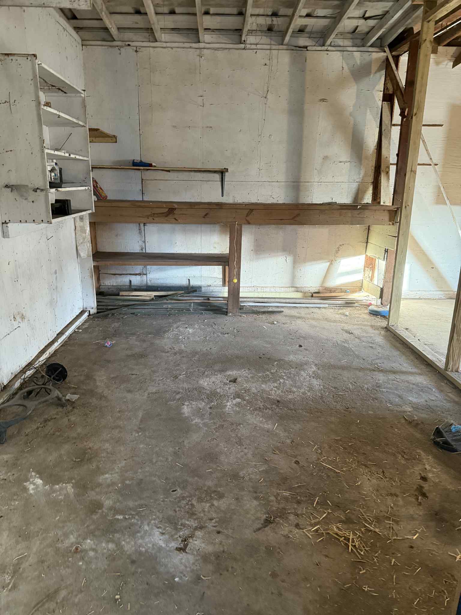 Help Build a Home for Left-Behind Cats campaign photo, 2 of 6