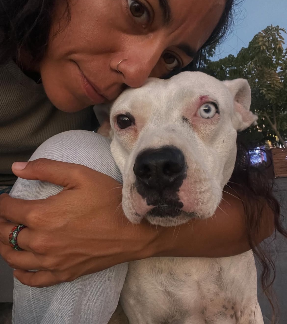Help Paloma Fight Pancreatitis and Ehrlichia campaign photo, 2 of 6