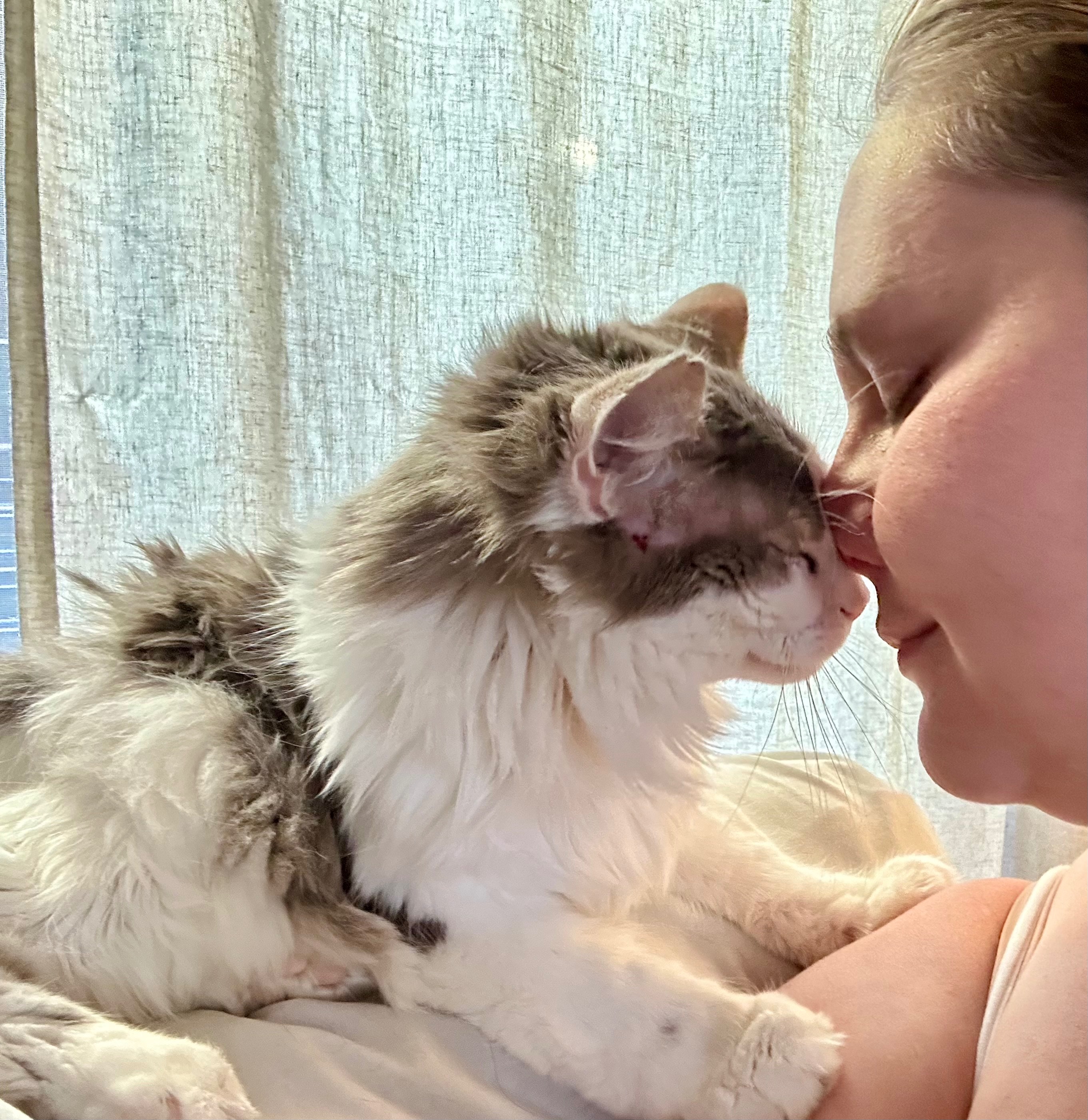 Support Finn's Gentle Farewell campaign photo, 2 of 8
