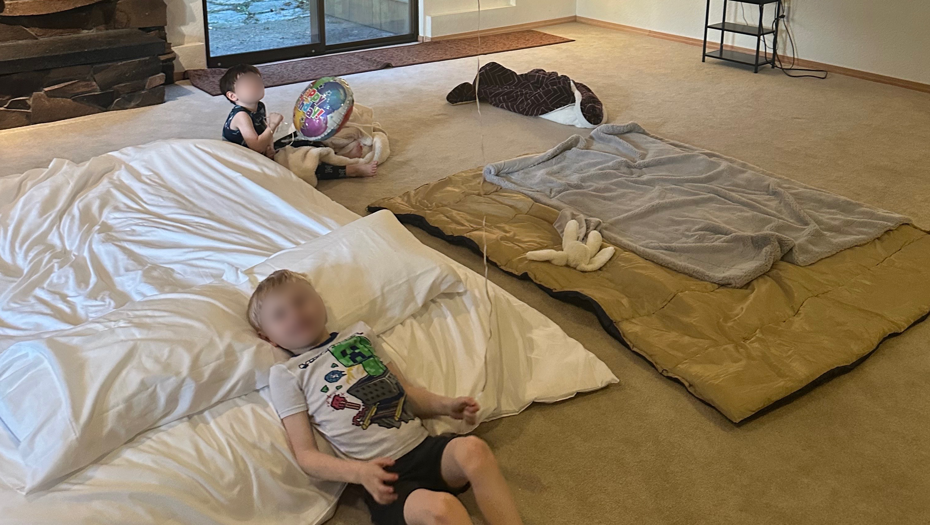 Legal Help Needed to Protect My Special Needs Boys photo