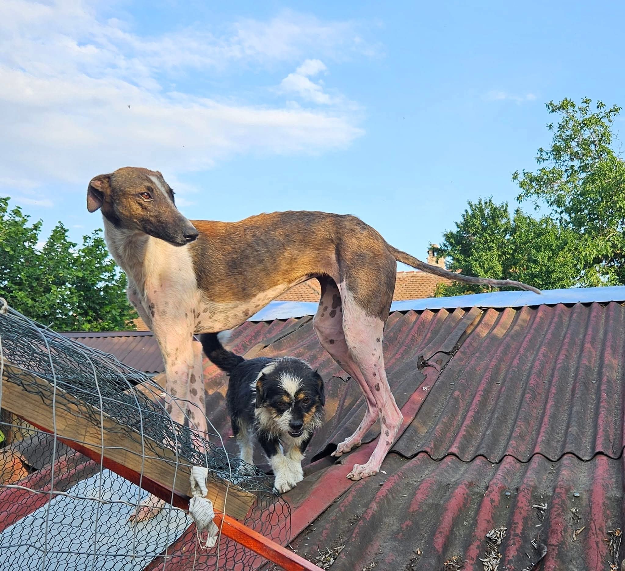 Instandsetzung Ausbau des Shelters campaign photo, 4 of 7