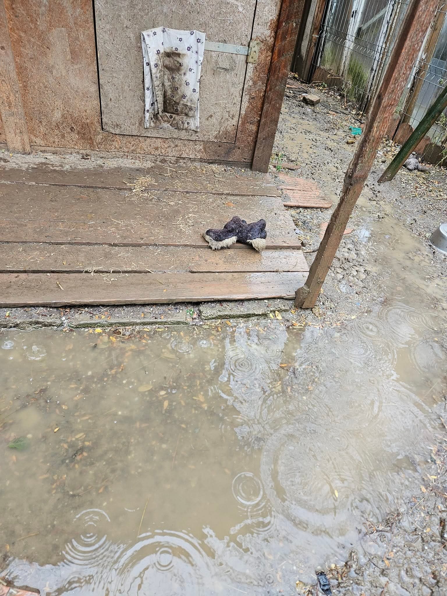 Instandsetzung Ausbau des Shelters campaign photo, 5 of 7