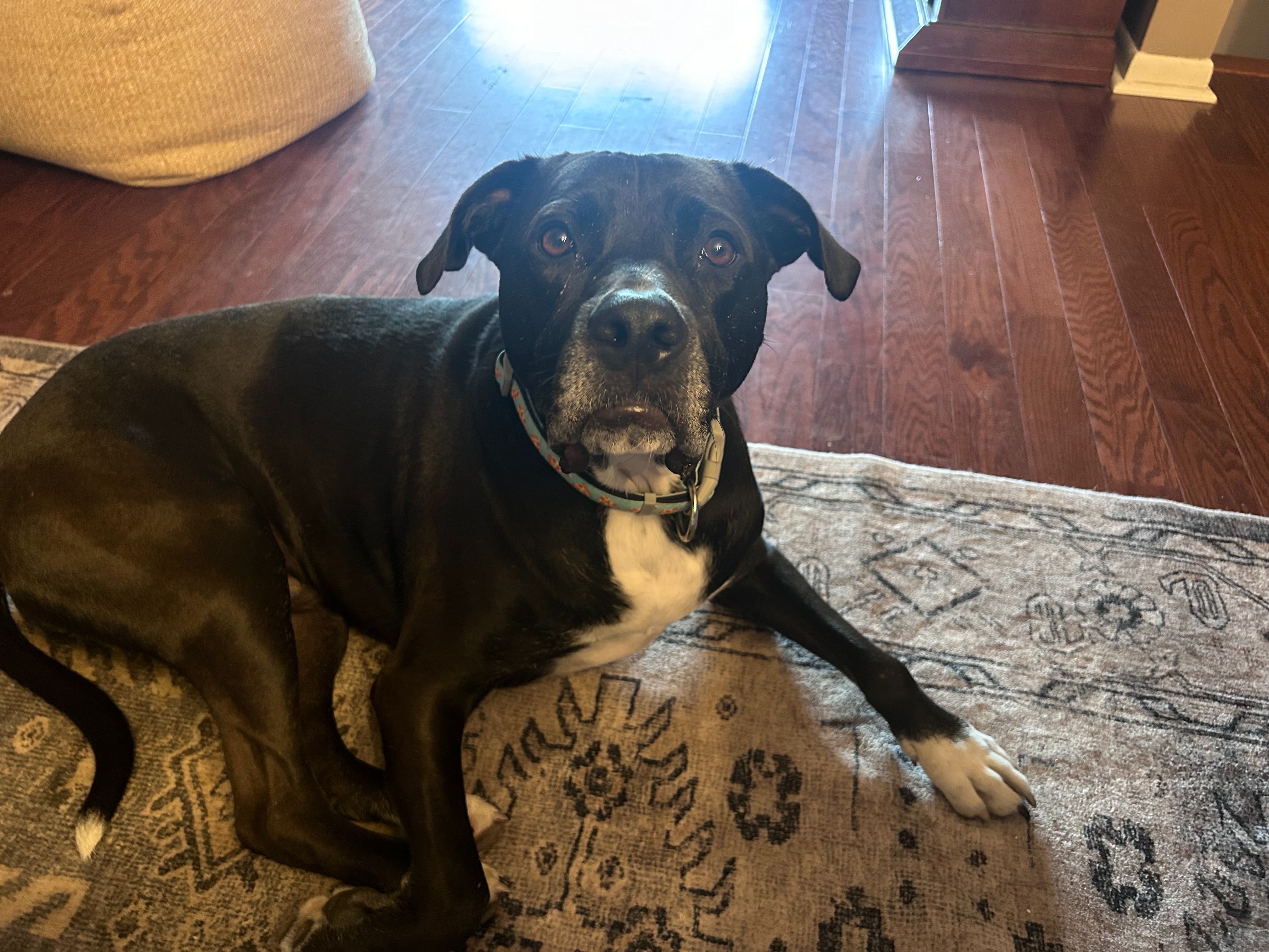 Help Janna and Romo Through Tough Times campaign photo, 2 of 4