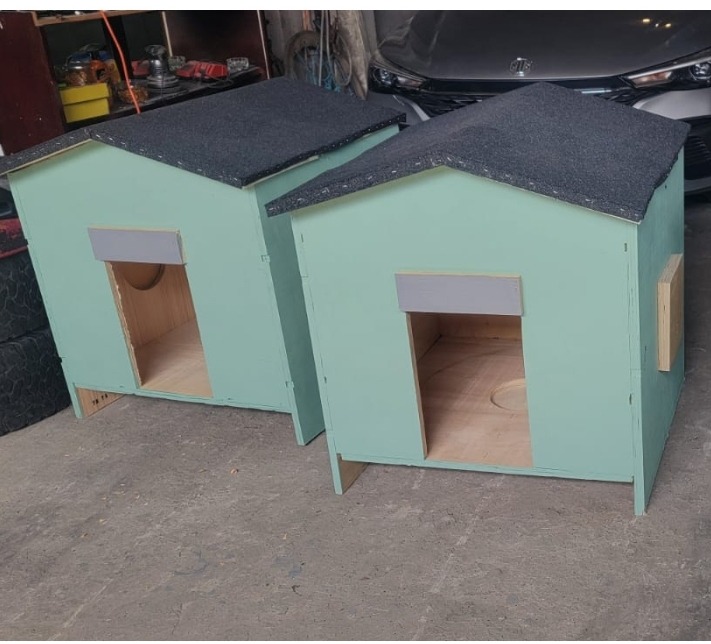 Help Rosmery Build 10 Houses for Street Dogs campaign photo, 4 of 8
