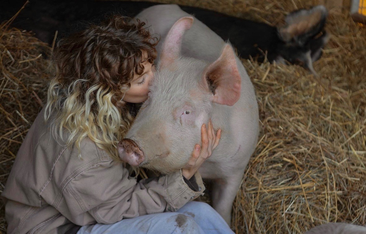 Foto van campagne Donate to Little Snout’s Medical Bills and Sanctuary Dream, 7 van 8