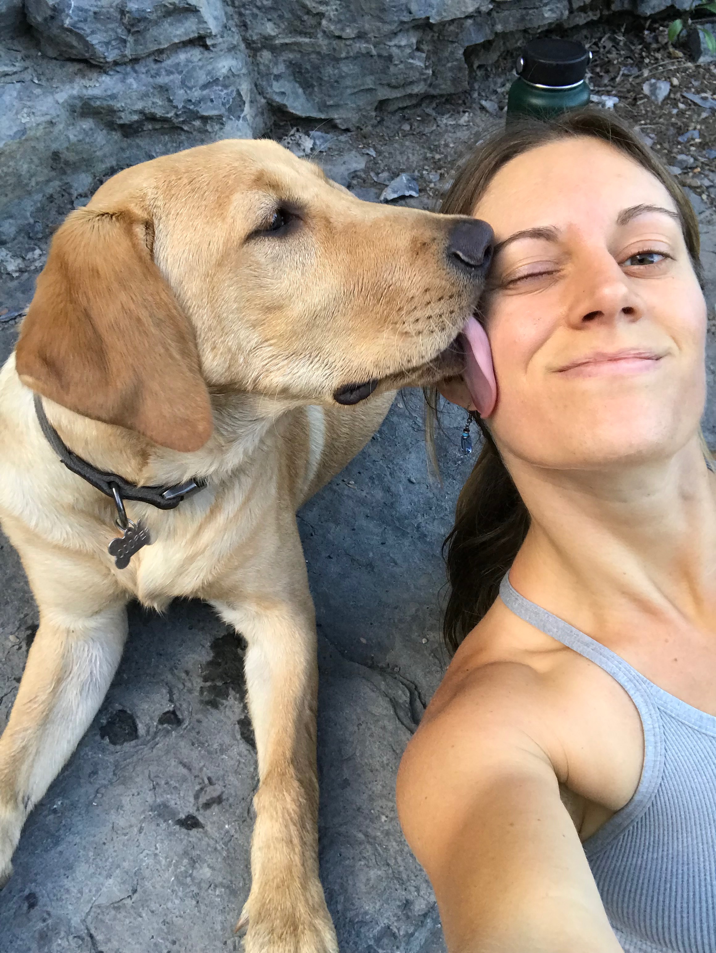 Emergency Vet Support for Journey & Chris’ dog, Cooper campaign photo, 5 of 6