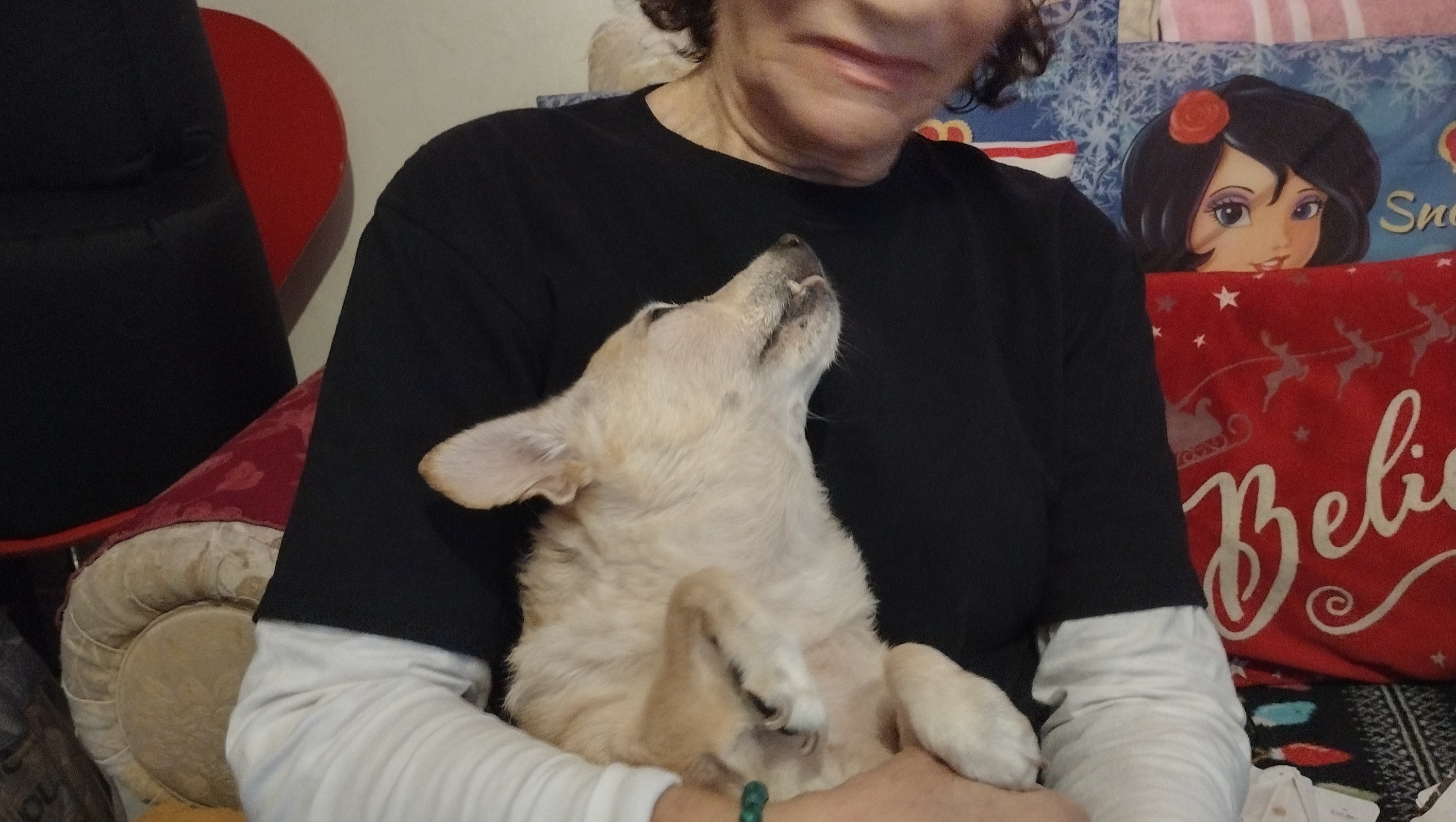 Help Lucy Save Layla: Urgent Medical Care photo