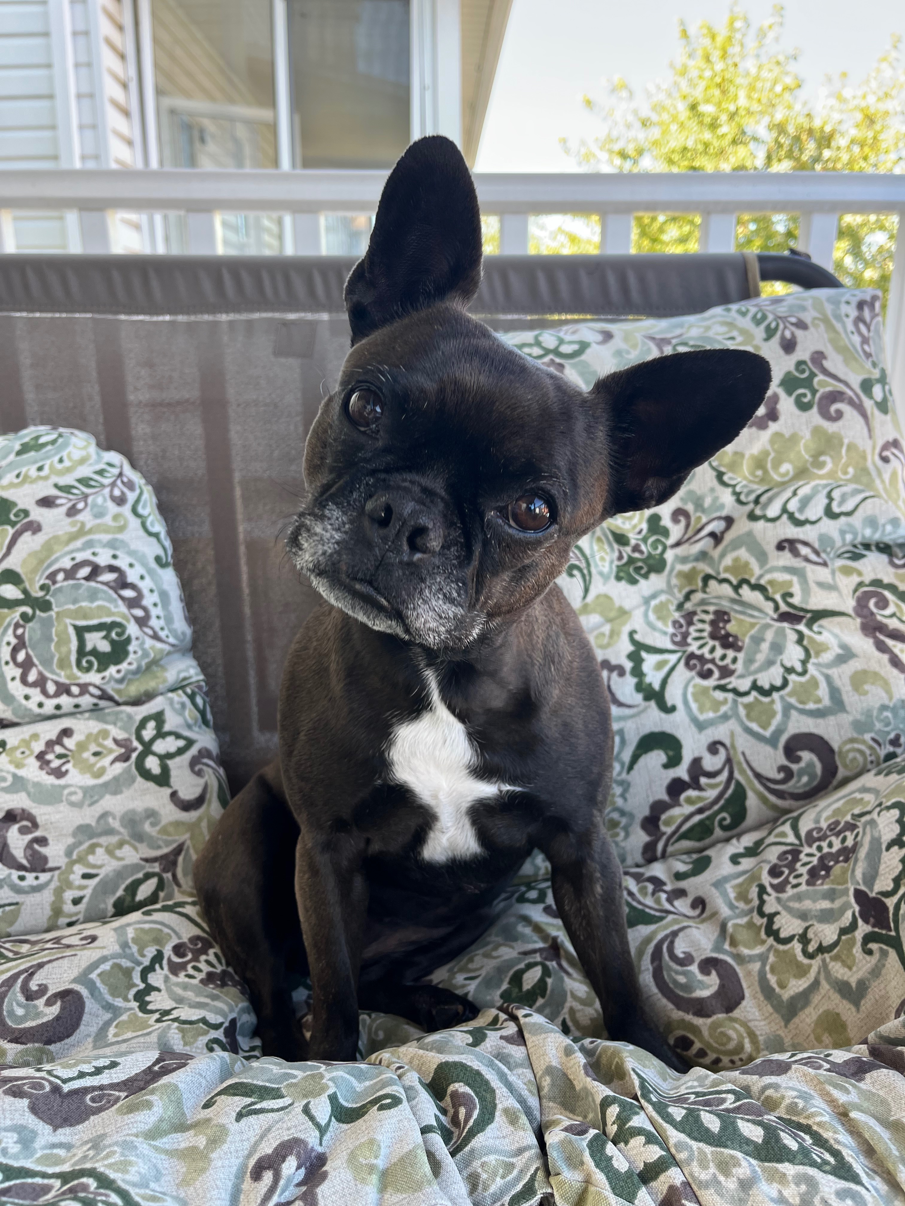 Help Luna Get the Diagnosis She Needs campaign photo, 4 of 7
