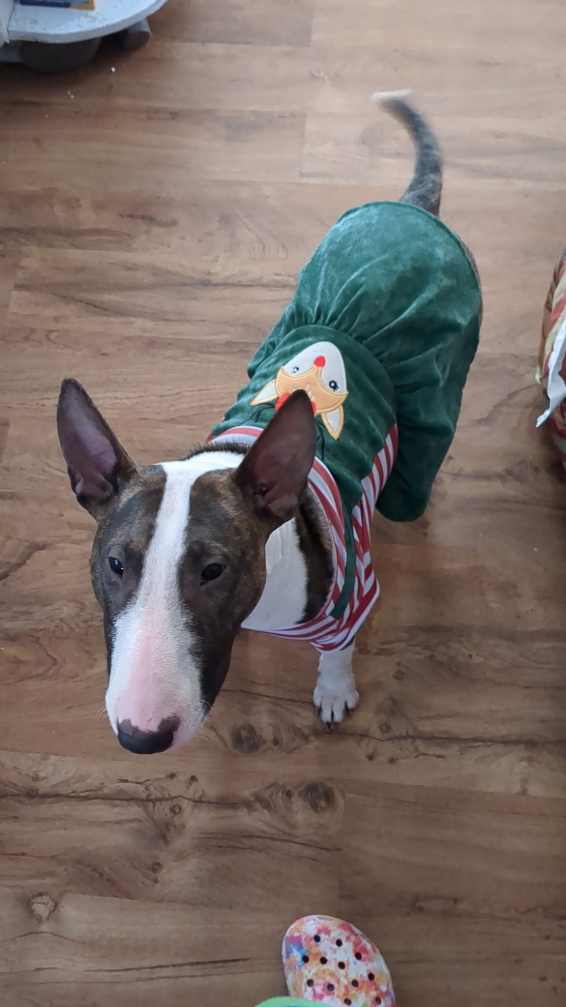 Help Zara Get Life-Saving Surgery campaign photo, 7 of 8