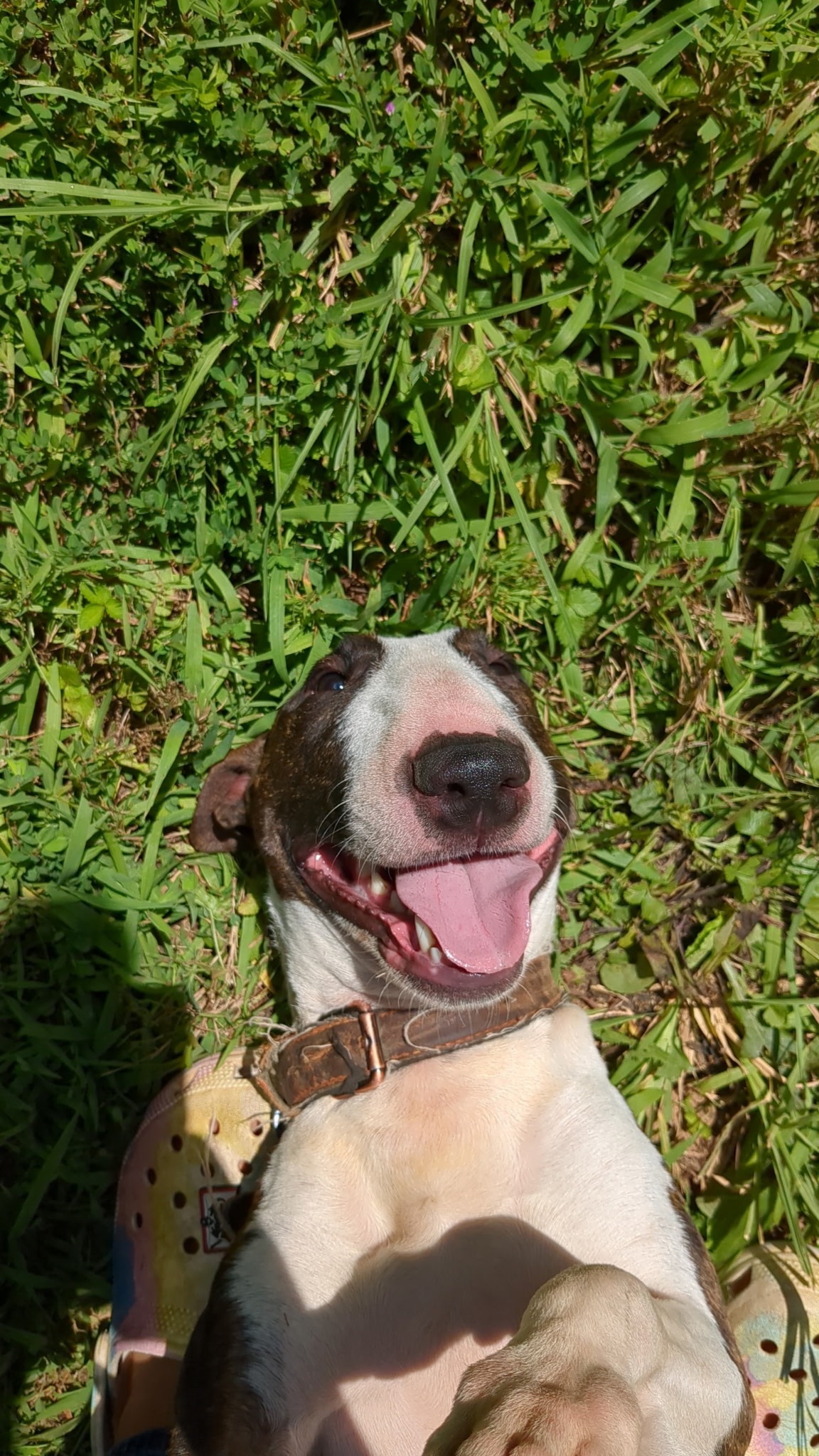 Help Zara Get Life-Saving Surgery campaign photo, 2 of 8