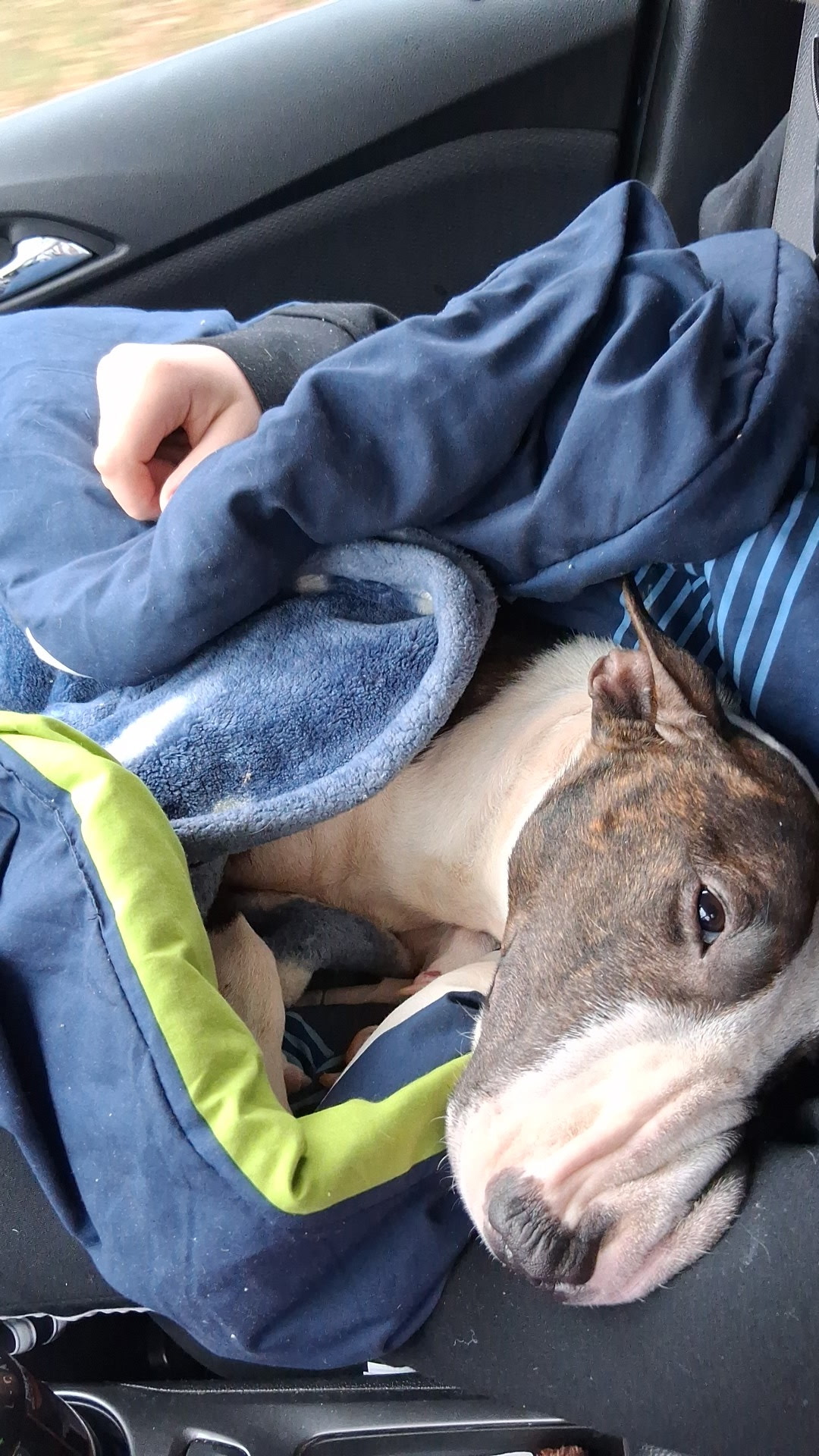Help Zara Get Life-Saving Surgery campaign photo, 4 of 8