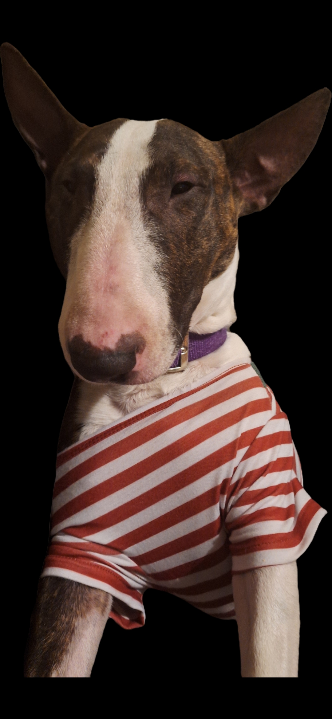 Help Zara Get Life-Saving Surgery campaign photo, 6 of 8
