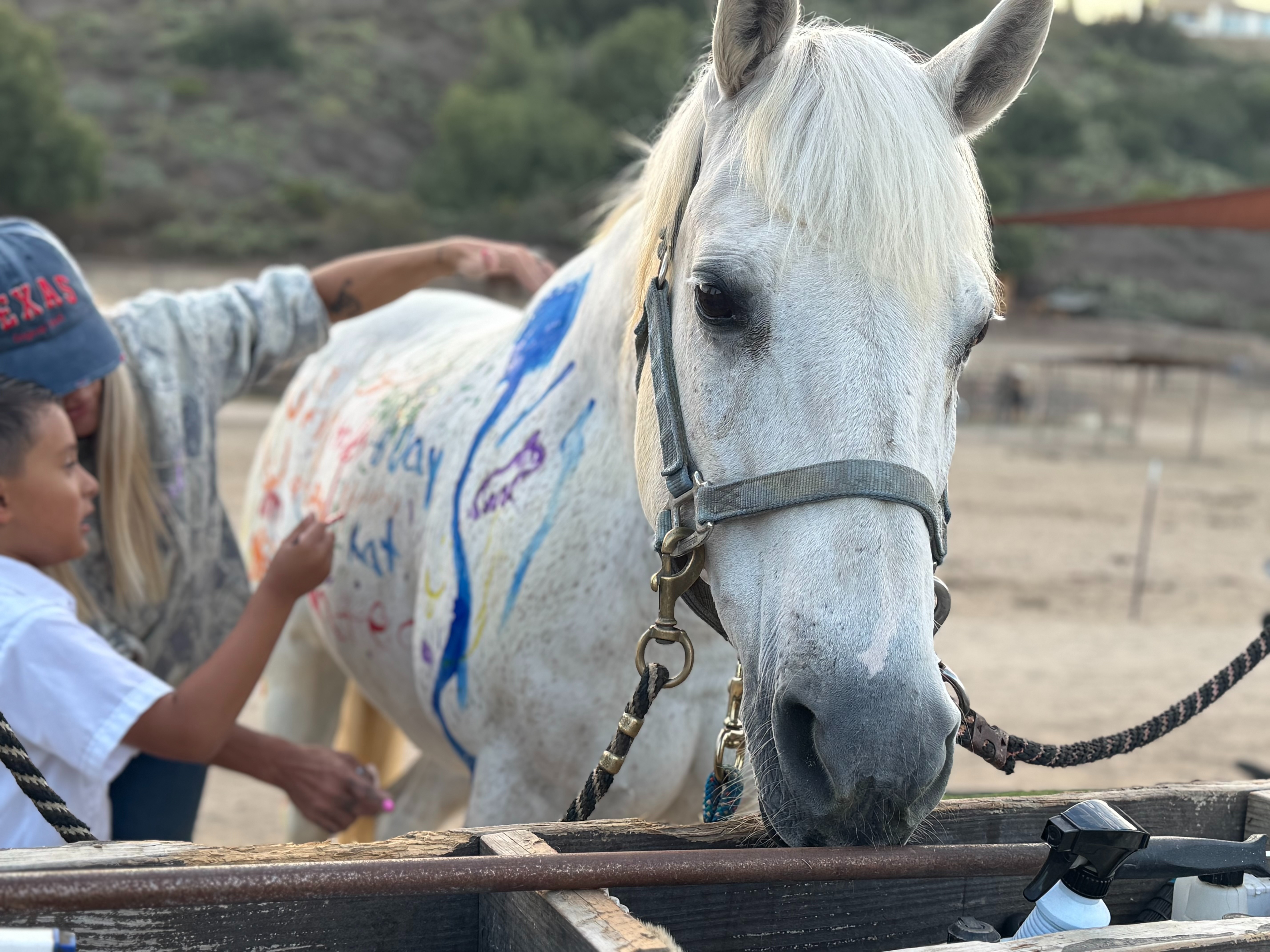 Help Us Care for Our Herd: Nine Lives, One Community campaign photo, 2 of 6