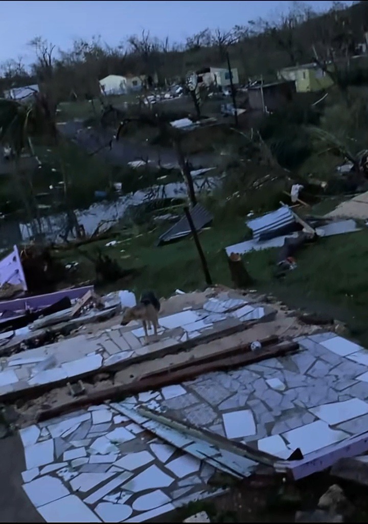 HELPP PLEASEE.......help Rachel Ross Rebuild her wrecked Hom campaign photo, 7 of 8