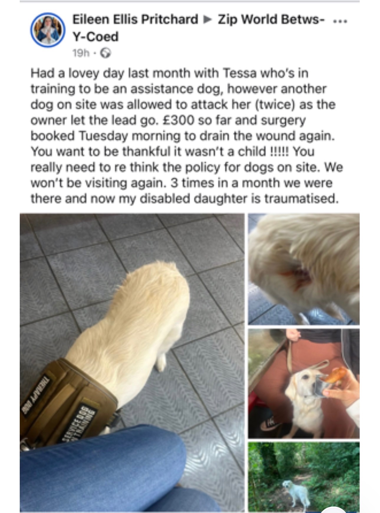 Help Tessa Get Specialist Vet Care She Desperately Needs campaign photo, 2 of 8