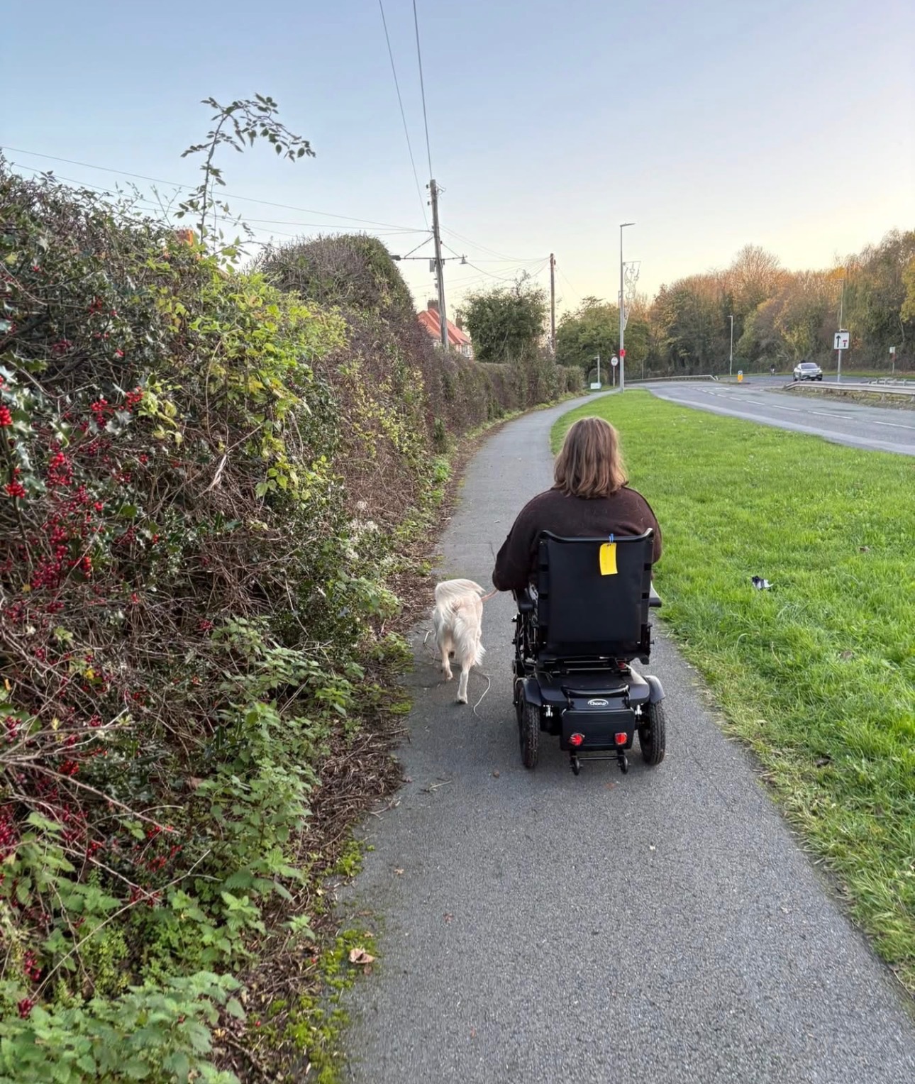 Help Tessa Get Specialist Vet Care She Desperately Needs campaign photo, 5 of 8