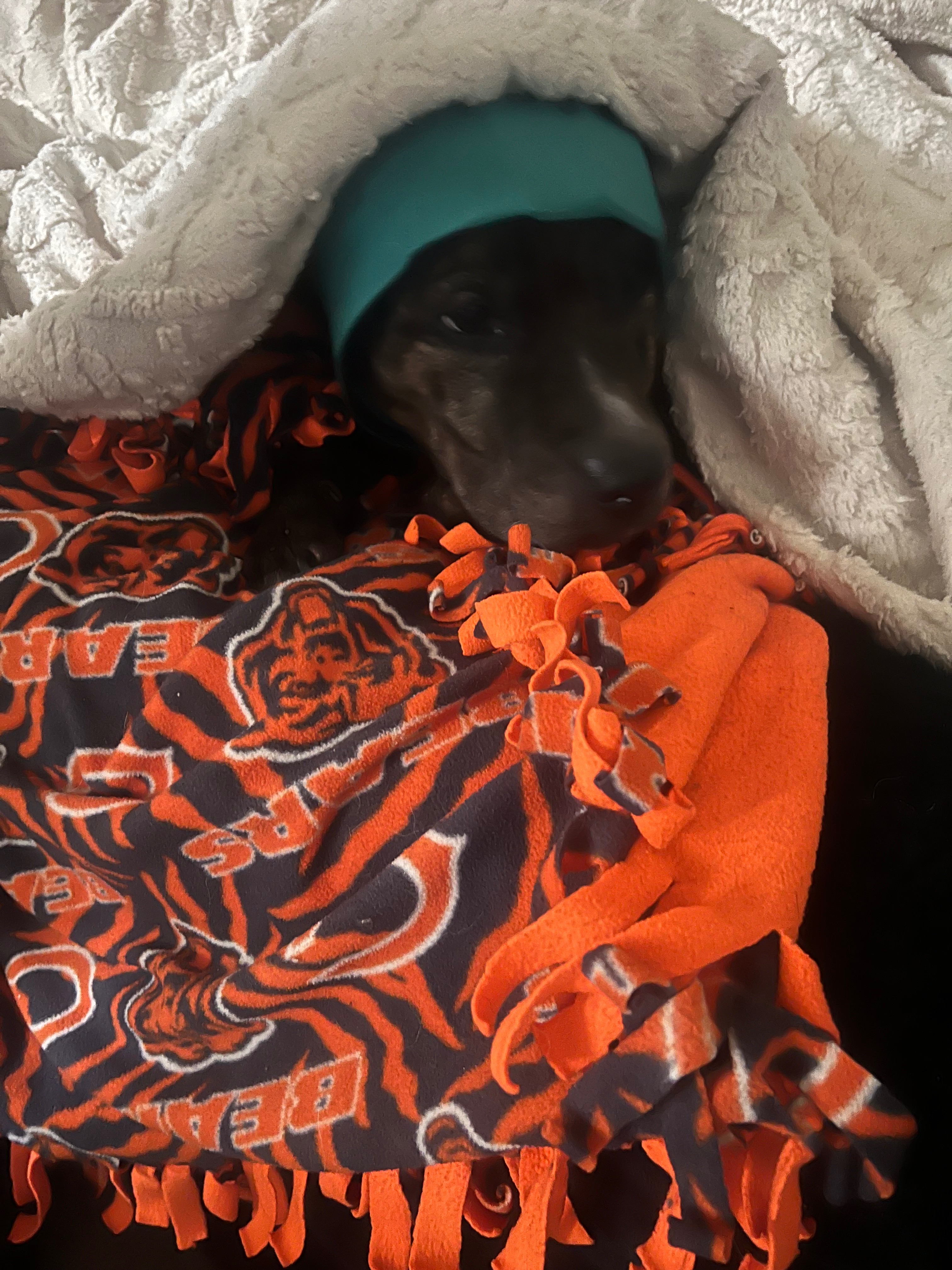 Help Athena Recover After Traumatic Night campaign photo, 2 of 7