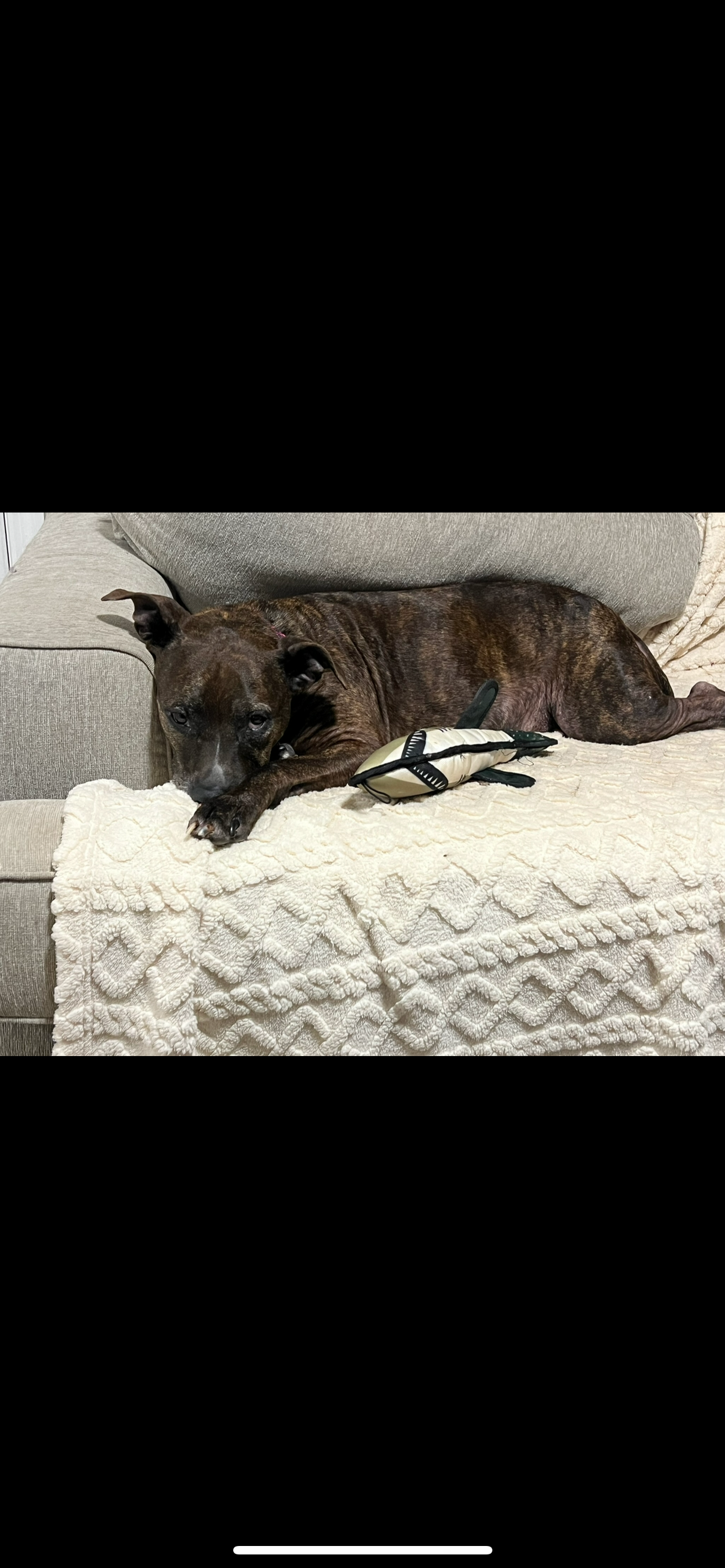 Help Athena Recover After Traumatic Night campaign photo, 6 of 7
