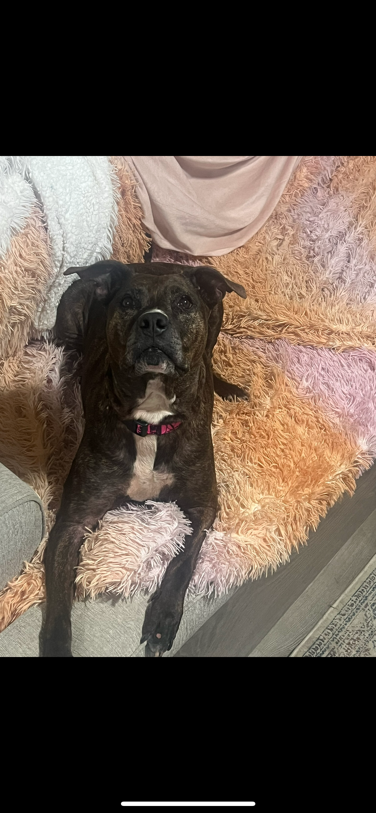 Help Athena Recover After Traumatic Night campaign photo, 4 of 7
