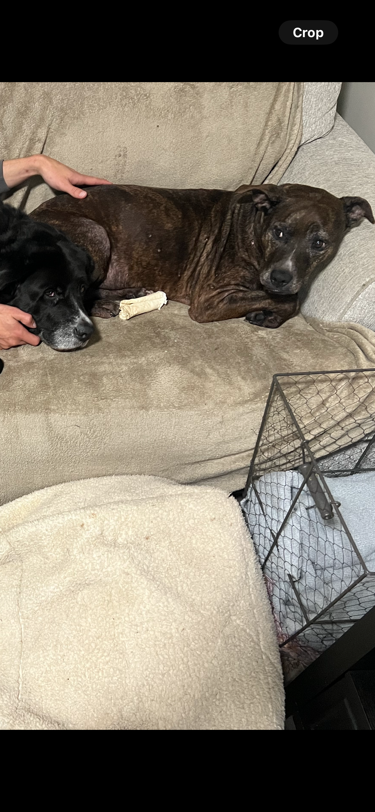 Help Athena Recover After Traumatic Night campaign photo, 5 of 7