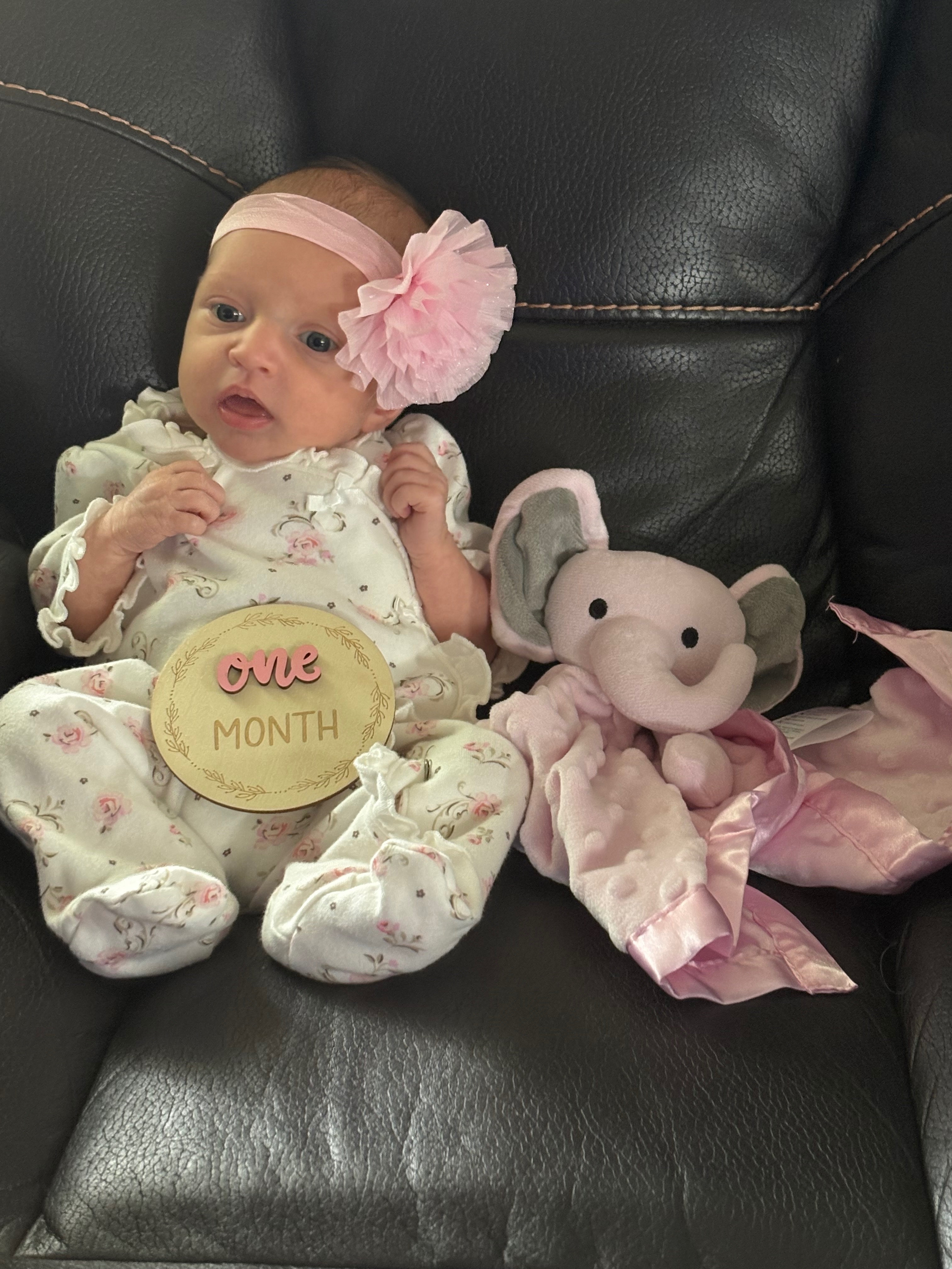 Support Sadie's Heart Surgery Journey campaign photo, 2 of 8