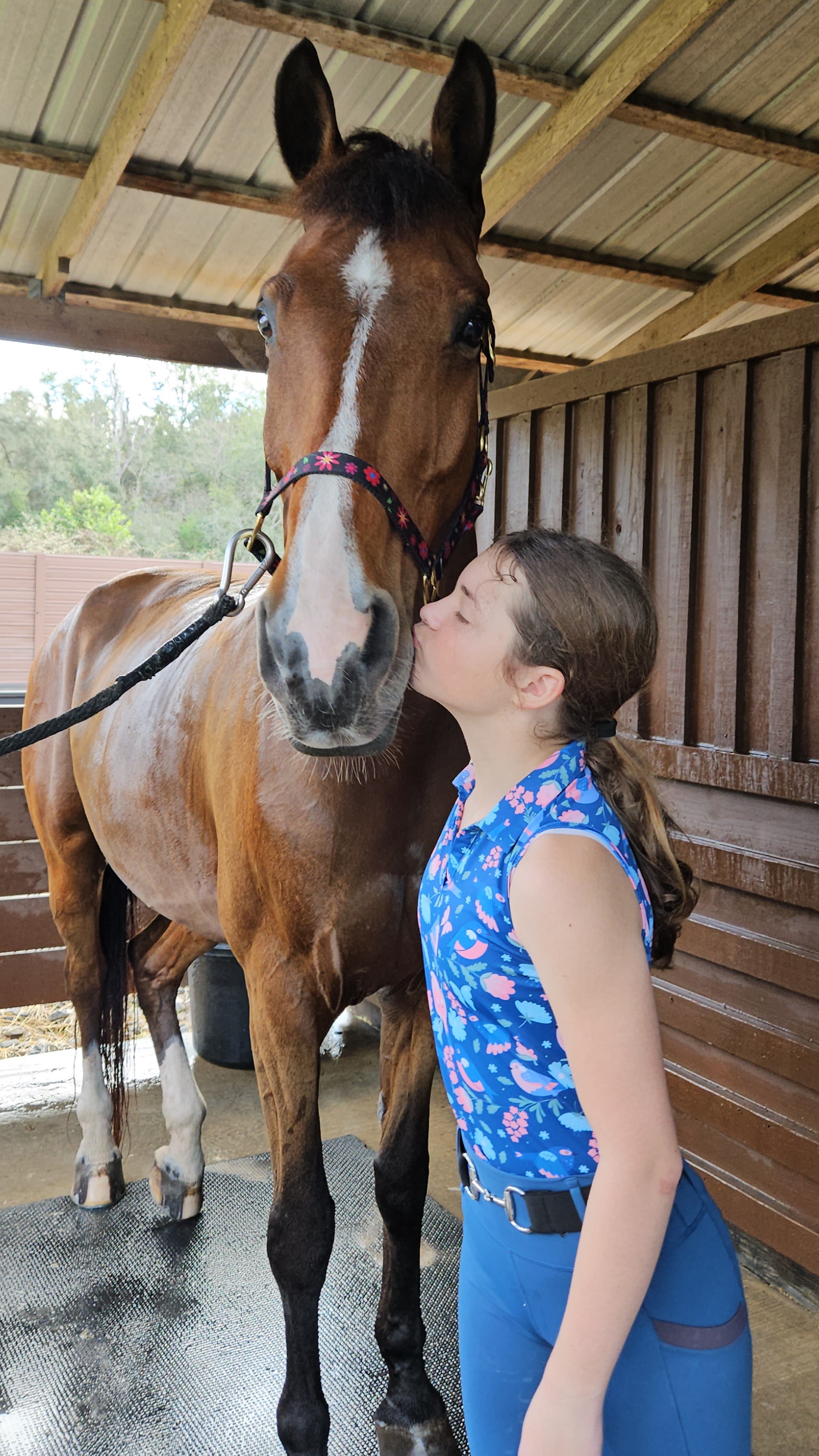 Help Gwen Achieve Her Equestrian Dreams campaign photo, 4 of 8