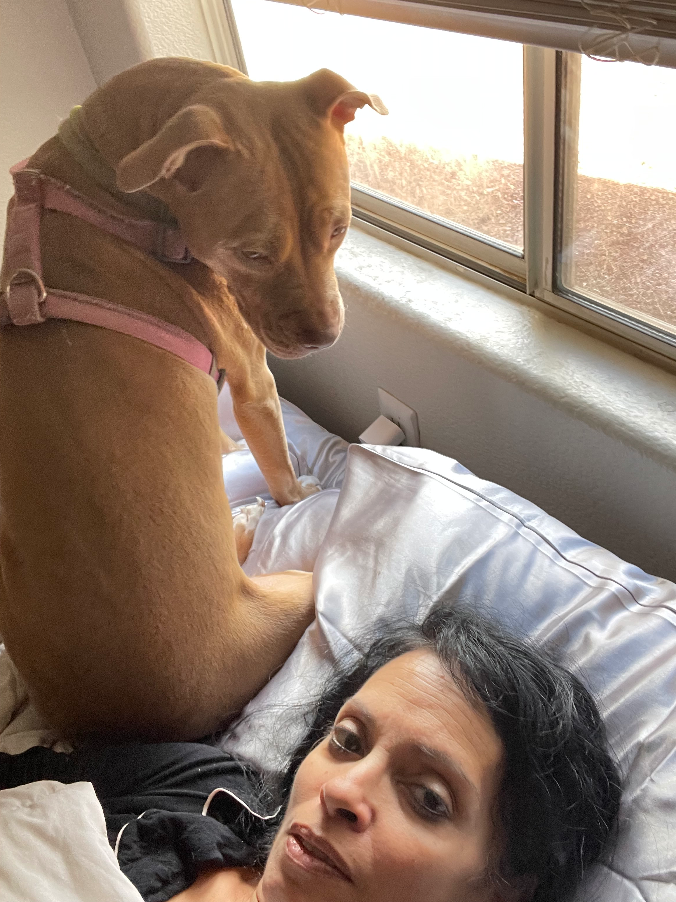 Support Luna's Life-Saving Surgery campaign photo, 7 of 8