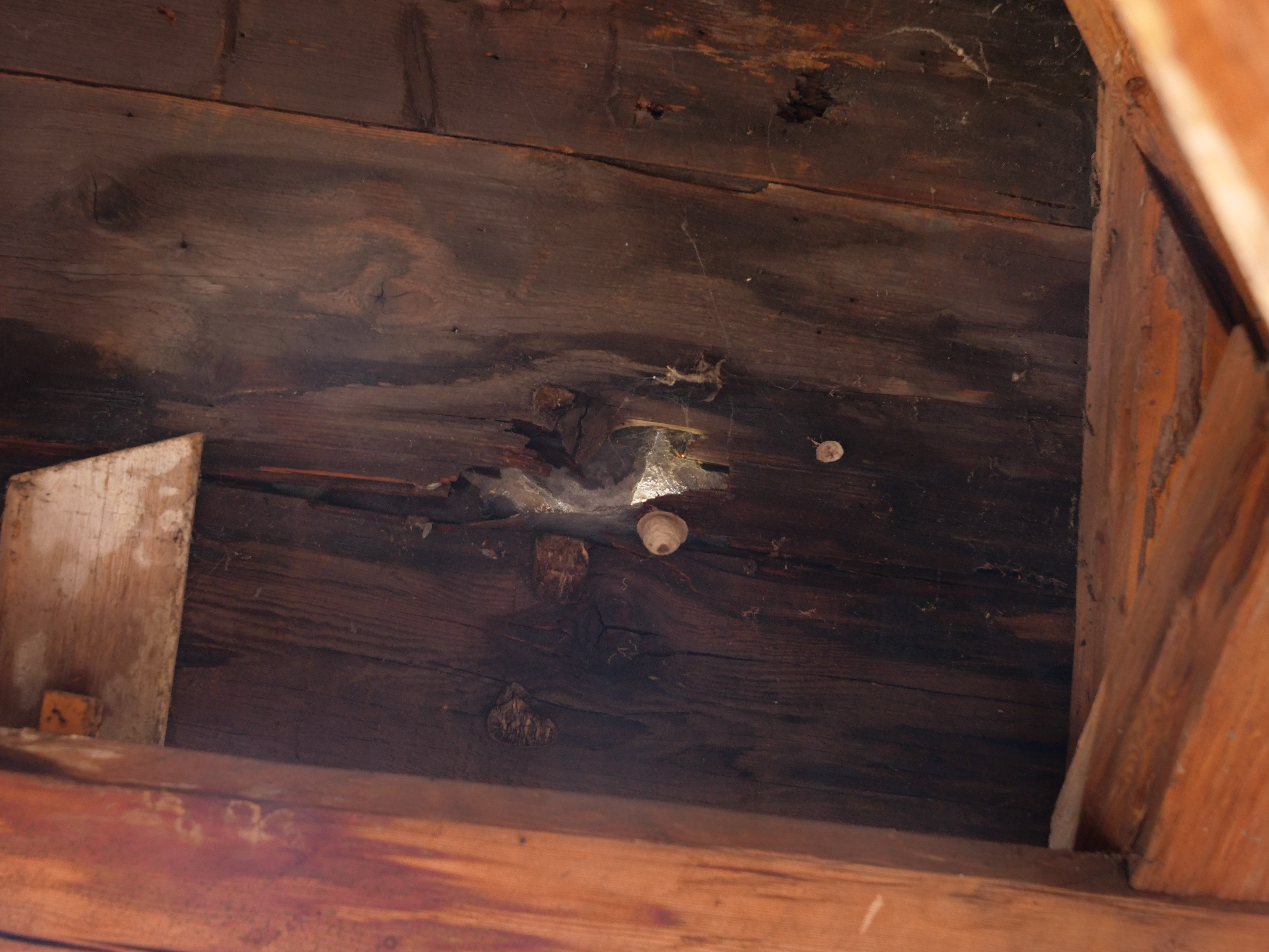 Helfen Sie uns, unser Kirchendach zu retten! campaign photo, 5 of 8