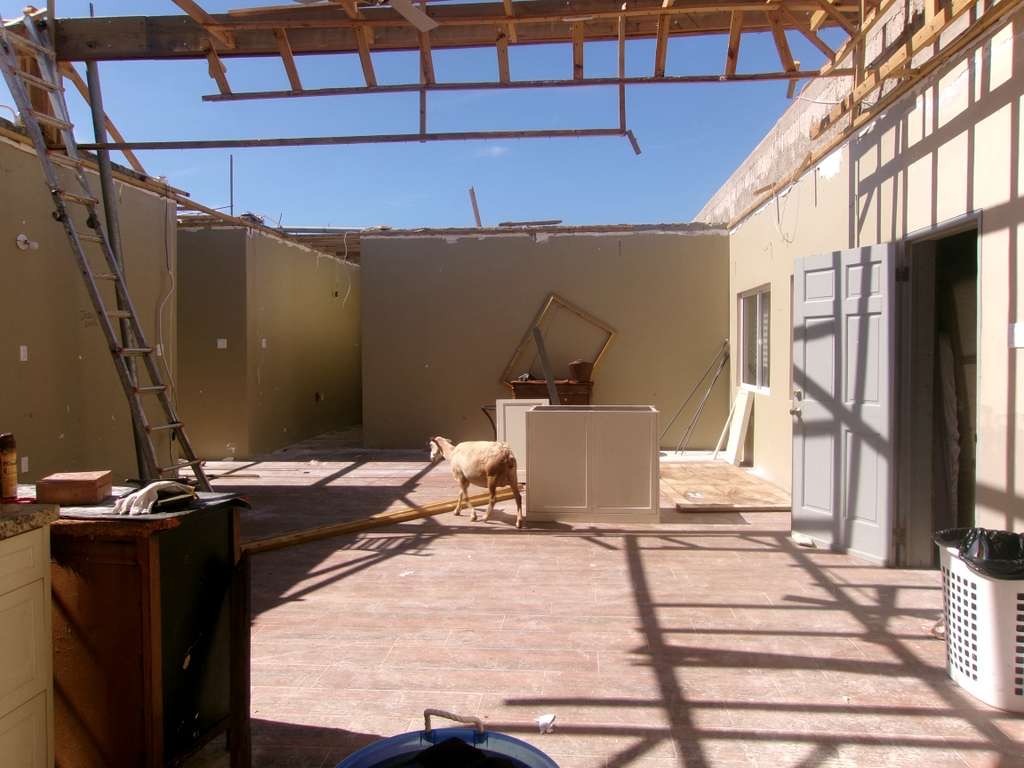 Help Andrea & John Rebuild After Hurricane Melissa campaign photo, 7 of 8
